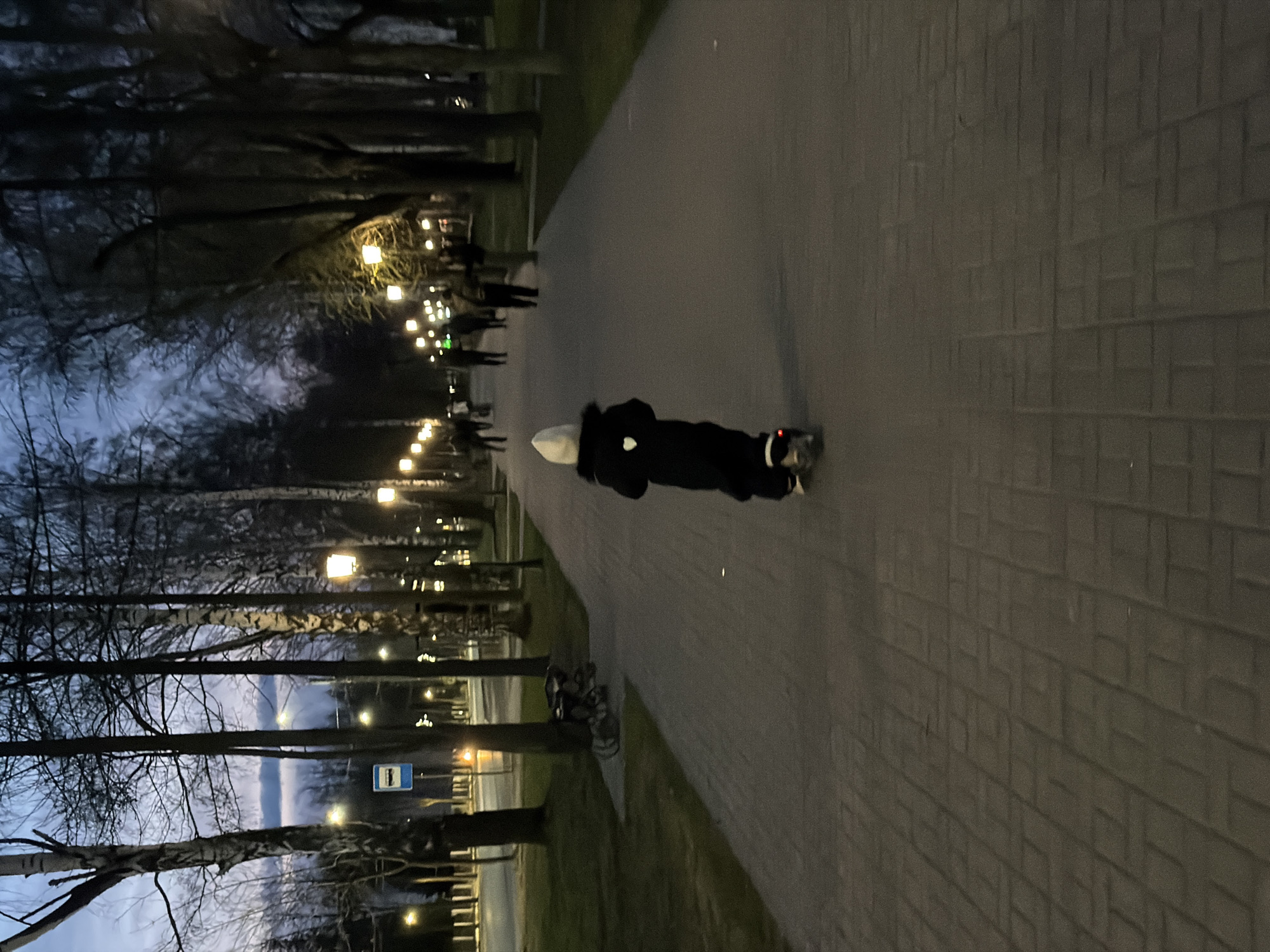 This media file depicts an evening or twilight scene in a public park or walkway in Chaikovsky, Russia. A person, likely a child or small adult, dressed in a dark coat with a white hood or hat, is prominently featured on a paved path. They appear to be standing or moving, with what might be a small scooter or skates near their feet.
The path, made of patterned paving blocks, extends into the distance, where silhouettes of other people are visible. Numerous bare trees line both sides of the path, their branches reaching towards the dim sky, suggesting an autumn or winter season. Artificial lighting from multiple streetlights illuminates the path and surrounding areas with a warm glow, indicating that it is either dusk or night. To the left of the path, nestled among the trees, a blue sign with a white symbol, resembling a bus stop marker, is visible. The sky is dark, with only faint hints of light remaining on the horizon. No discernible text is visible anywhere in the image.