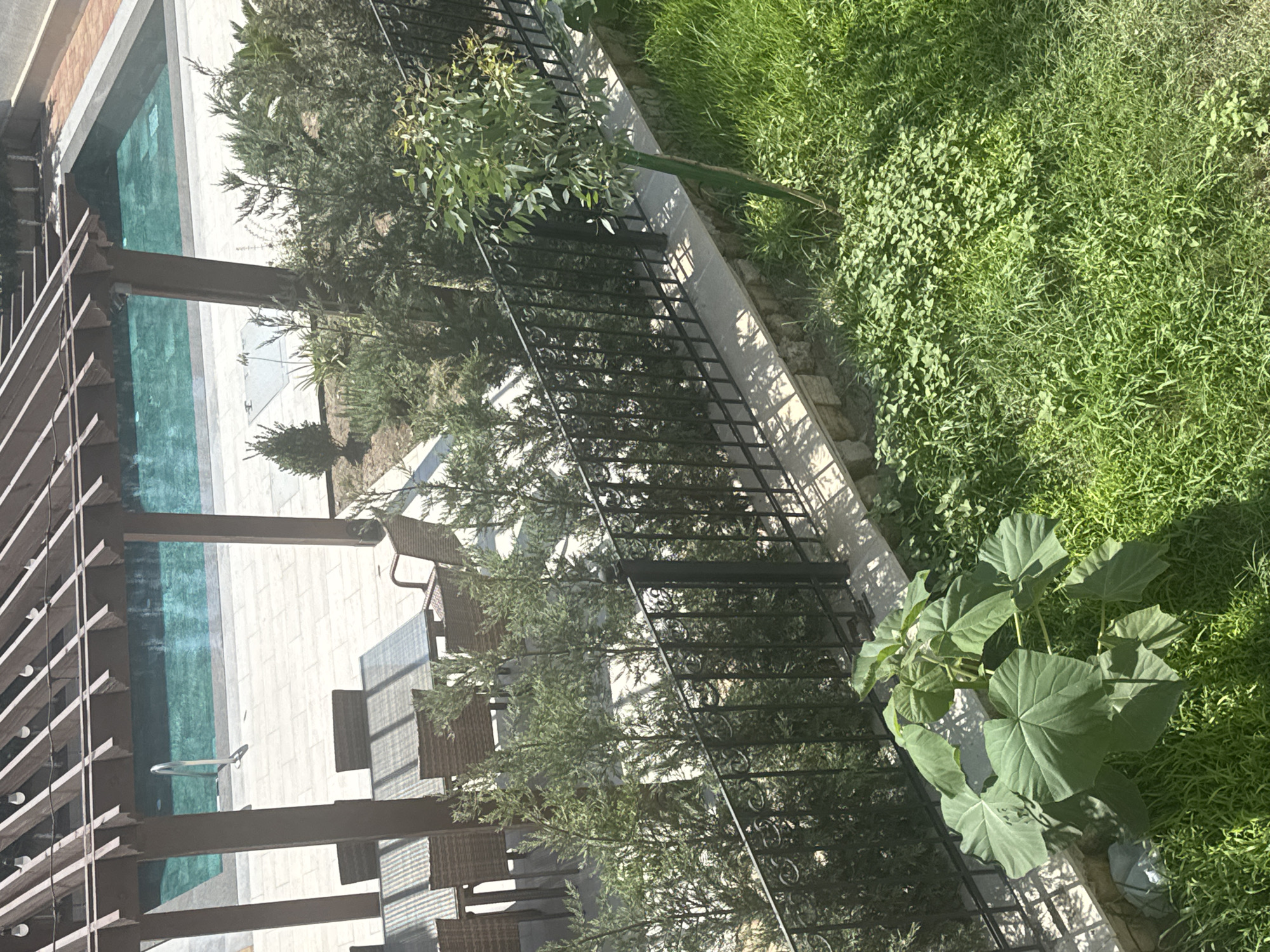 The image depicts an outdoor scene with a swimming pool and a seating area, likely part of a residential property in Sabunchu Raion, Azerbaijan. A wooden pergola covers a portion of the paved area, under which a glass-topped table is set with wicker chairs. The swimming pool, filled with turquoise water, is visible beyond the seating area, with a metal ladder providing access. A black wrought-iron fence runs along the edge of the property, separating the paved area from a grassy lawn and several types of vegetation, including small trees and a large leafy plant. The overall environment suggests a well-maintained outdoor space, possibly a backyard or patio area.