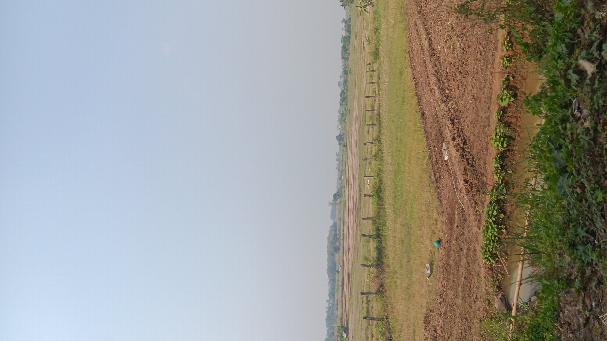 The image depicts a rural landscape in Jonggol, Indonesia. In the foreground, a body of water with a bamboo pole across it is bordered by lush green vegetation and fallen leaves. Beyond this, a section of tilled brown earth is visible, with rows indicating recent agricultural activity. Further back, a grassy field stretches out, demarcated by a fence made of wooden posts. In the distance, more fields, some appearing fallow, are interspersed with trees and a few scattered buildings, suggesting a rural village. The sky is clear and pale blue, characteristic of a bright, possibly hazy, day. Two small, white rectangular objects and a green spherical object are present in the grassy field area.