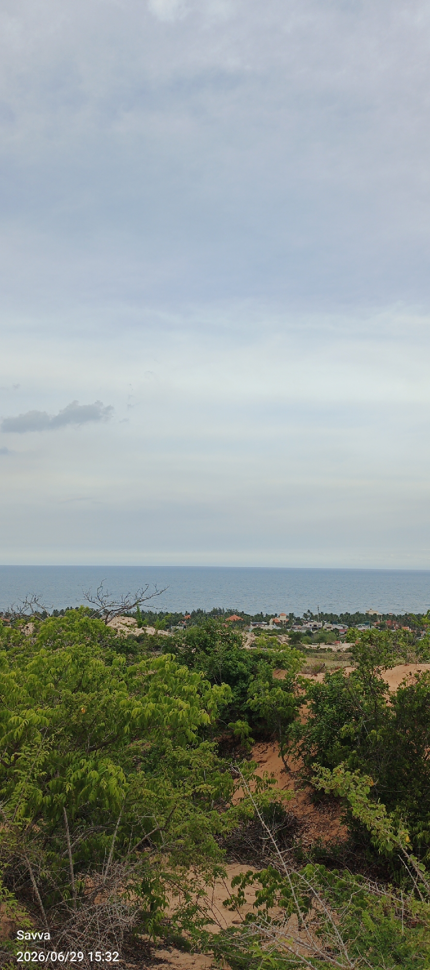 The image is a vertical, wide-angle landscape photograph taken from a slightly elevated vantage point, looking out towards the ocean. The foreground is dominated by lush green foliage, with various trees and bushes creating a natural, somewhat wild border across the bottom half of the frame. The leaves are varied in shape and size, with some branches appearing bare and thorny. The ground beneath the vegetation is sandy and appears to be a light brown or orange hue.
Beyond the foliage, the middle ground reveals a scattered residential area with several buildings, most with reddish-orange tile roofs. The buildings are nestled amongst more greenery and appear to be of varying sizes and architectural styles.
The horizon line is occupied by a calm, blue ocean, stretching across the width of the image. The water appears to be a deep, tranquil blue. Above the ocean, a pale blue sky fills the upper portion of the frame. The sky is mostly overcast with thin, wispy clouds, suggesting a diffused light, possibly indicating a cloudy day or early morning/late afternoon.
There are no people or animals visible in the image. The overall mood is peaceful and serene, capturing a coastal scene with a blend of natural elements and human habitation. The date and time stamp "2026/06/29 15:32" and the name "Savva" are visible in the lower left corner of the image. The location context provided is Phu Thuy Ward, Vietnam.