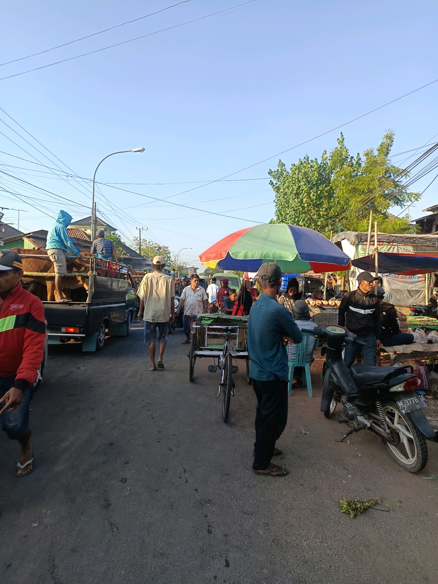 The image depicts a busy street scene in Blega, Indonesia, likely a market area given the presence of vendors, livestock, and stalls. The time of day appears to be morning or late afternoon due to the low angle of the sun.
In the foreground, a man wearing a red and black jacket and blue jeans stands on the left side of the frame, partially cut off. His left hand is extended, pointing towards something outside the frame. Further down the road, a man in a light-colored shirt and shorts walks away from the camera.
Dominating the center-left of the image is a black pickup truck loaded with several cows. A man in a blue hooded jacket is visible on top of the truck, tending to the animals. Another man in a striped shirt stands behind him. A two-wheeled cart, possibly a pedicab or a handcart, is positioned behind the pickup truck.
The right side of the image shows a market stall under a colorful umbrella, with several people gathered around. A black motorcycle is parked near the stall. Another stall with a dark tarp is visible further in the background. The street is paved and appears to be the main thoroughfare of the area, with overhead electrical wires and a street lamp visible. Buildings with tiled roofs are present in the background, suggesting a residential or commercial area adjacent to the market. The sky is clear and blue. The overall impression is one of a lively and active marketplace.