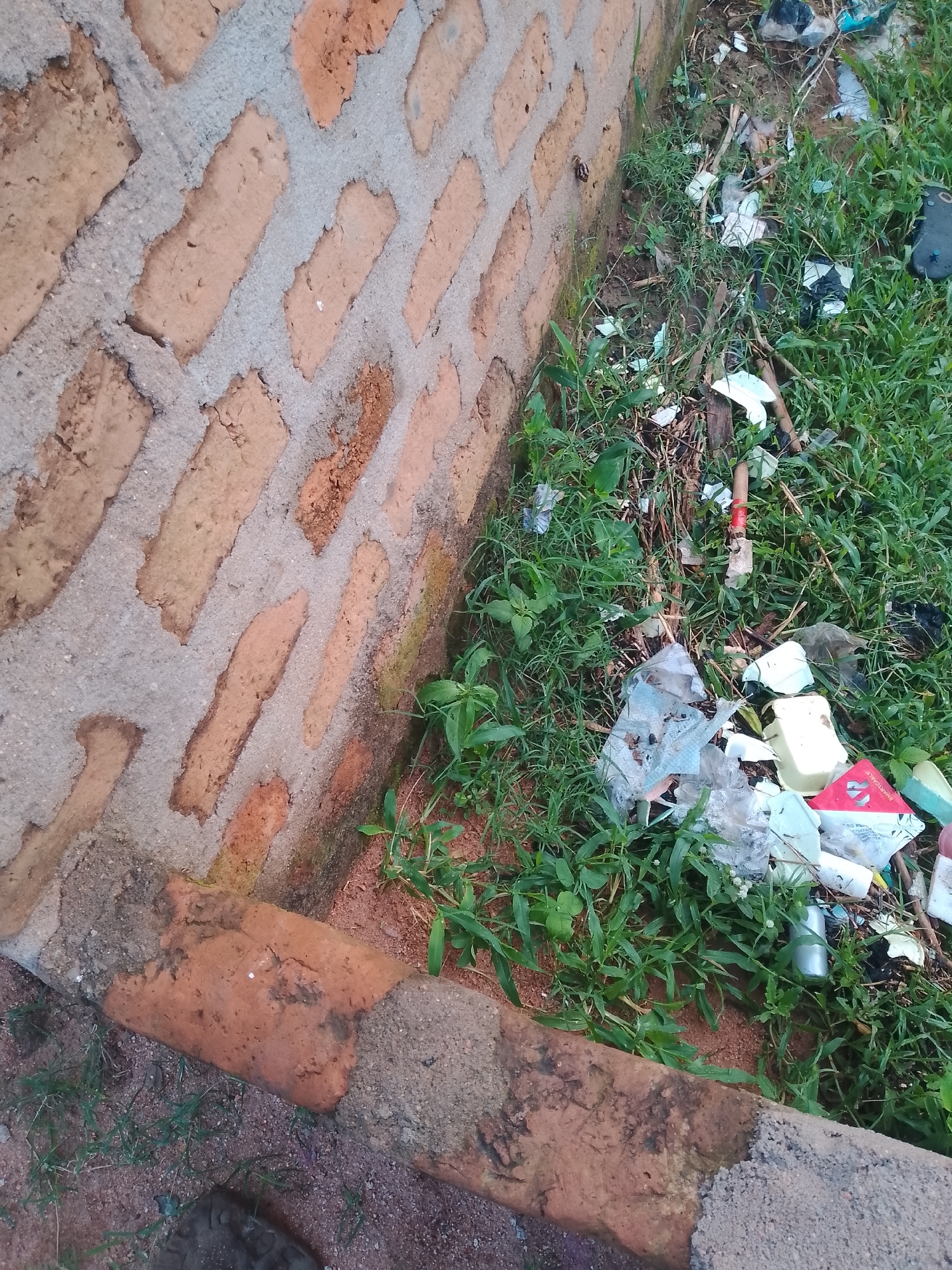 The image depicts an outdoor scene adjacent to a brick wall. The wall is constructed with rough, reddish-brown bricks and appears aged. To the right of the wall, a patch of overgrown green grass is visible, interspersed with various pieces of litter. The debris includes crumpled plastic wrappers, white plastic containers, and other unidentifiable waste. A red and white cylindrical object, possibly a container or a piece of packaging, is also present amongst the grass and trash. The ground is a mix of soil and sand, with some small stones. In the foreground, a curb made of brick and concrete runs along the edge of the scene. The overall impression is one of neglect and unkempt surroundings. No individuals are present in the image, and no specific actions or interactions are depicted. The location is identified as Jauro Yinu, Nigeria.