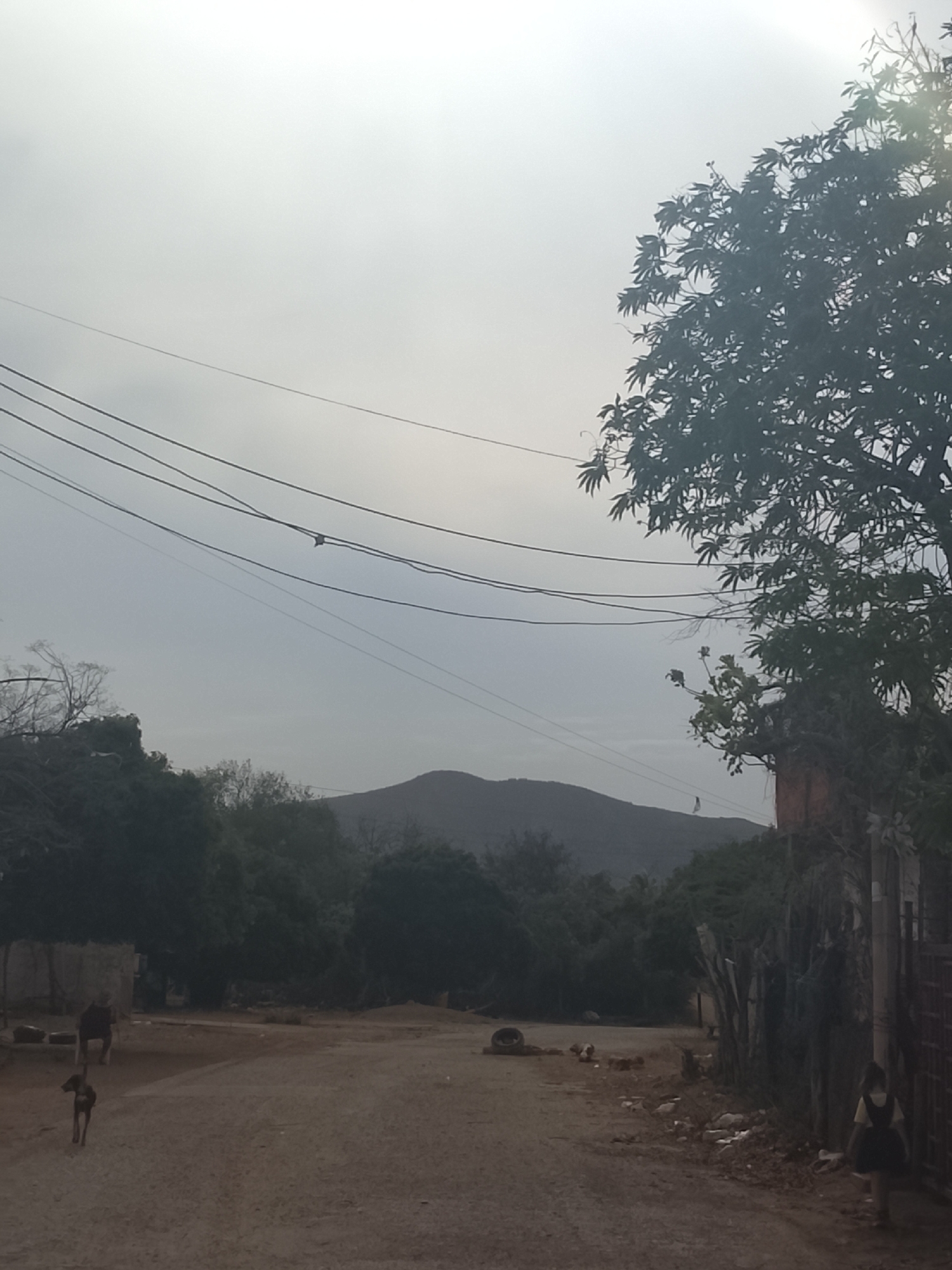 The image depicts a dirt road in Altagracia, Venezuela, under an overcast sky. A mountain is visible in the background. Power lines run across the top of the frame. On the left side of the road, there is a dark-colored dog walking, with a cow standing in the background. On the right side of the road, a child in a dress is walking away from the camera. A tree stands to the right of the frame. A fence runs along the right side of the road. Debris is scattered along the roadside.