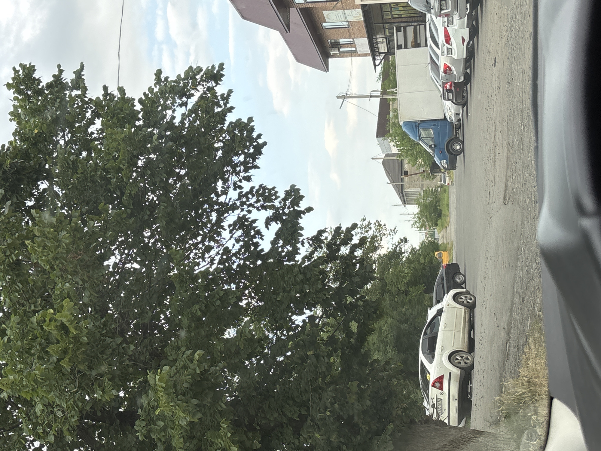 The image captures a street scene in a town under an overcast sky. On the left, a large tree with dense green foliage dominates the foreground. Adjacent to the tree, a white sedan is parked facing left. Behind it, a black sedan is also parked. In the center of the frame, a blue box truck is positioned with its front facing right. A row of cars, including several white sedans and a silver hatchback, are parked to the right of the truck. Further in the background, buildings with brick and tiled roofs are visible. The road surface appears to be asphalt with some gravel.