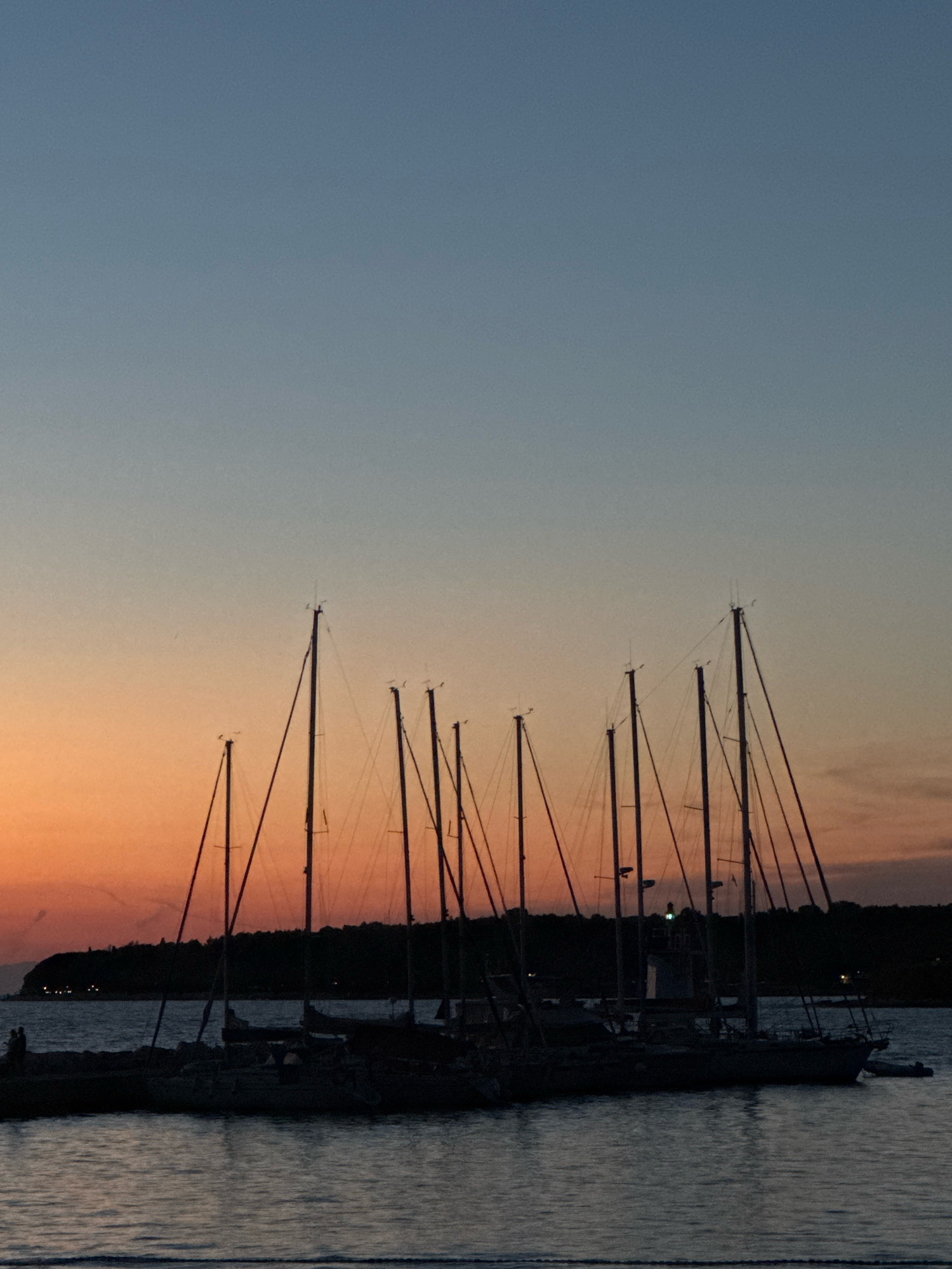 At dusk in Novigrad, Croatia, a fleet of sailboats is docked in a harbor. The sky transitions from a deep blue at the top to a warm orange and pink near the horizon, indicating the setting sun. Silhouetted against the colorful sky are the tall masts of several sailboats. The boats themselves are dark shapes in the water, some appearing to be moored together. In the background, a tree-covered coastline is visible, dotted with distant lights. The water in the foreground is calm, reflecting the muted colors of the sky. The overall scene depicts a tranquil evening in a coastal city.