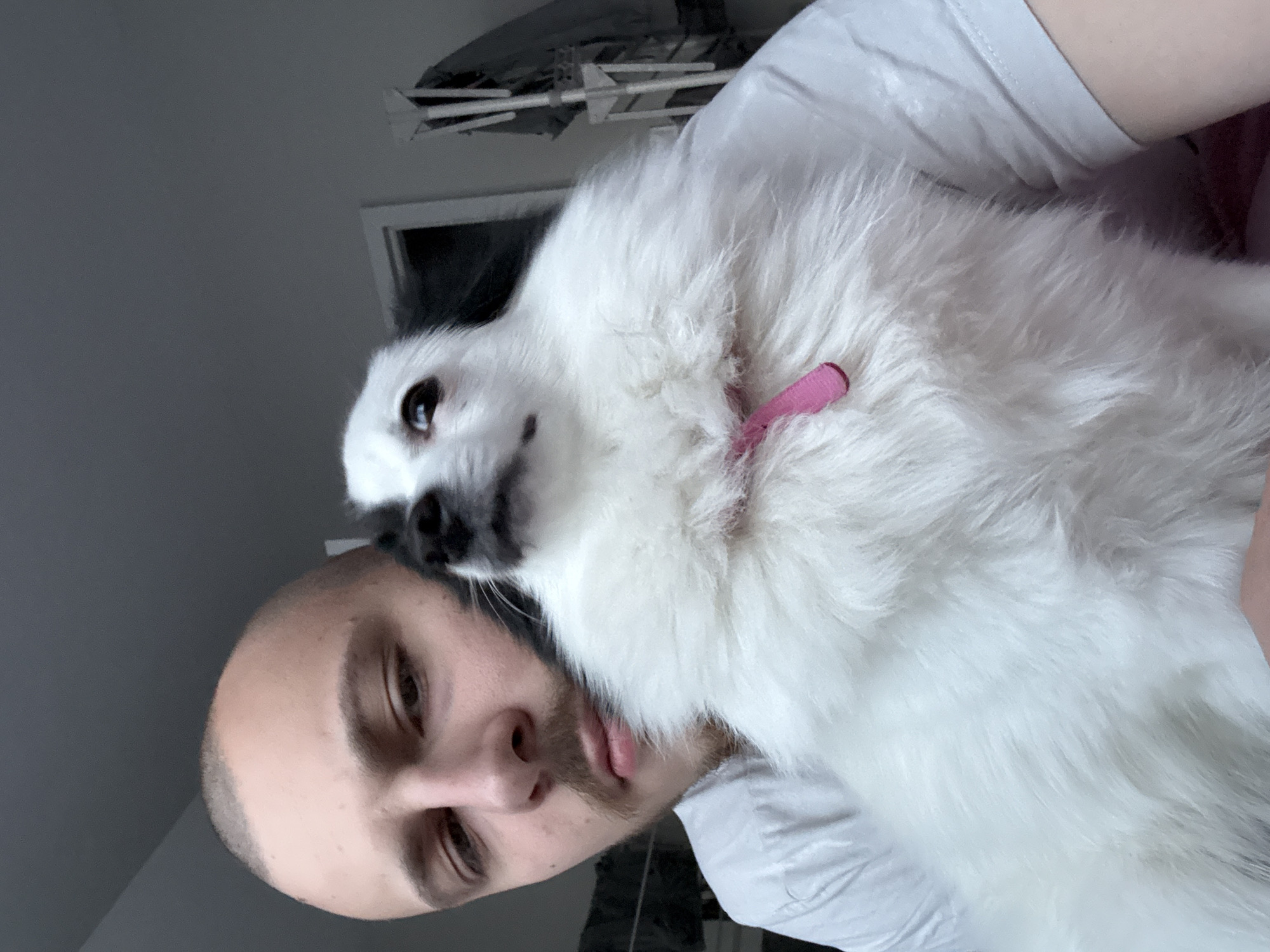 A person with a shaved head is holding a fluffy white dog with black markings around its eyes and nose. The dog is wearing a pink collar. The person and dog are indoors, with a grey ceiling and a window visible in the background. The image appears to be taken at close range, potentially a selfie. No information is available to identify the location as Stara Zagora, Bulgaria.