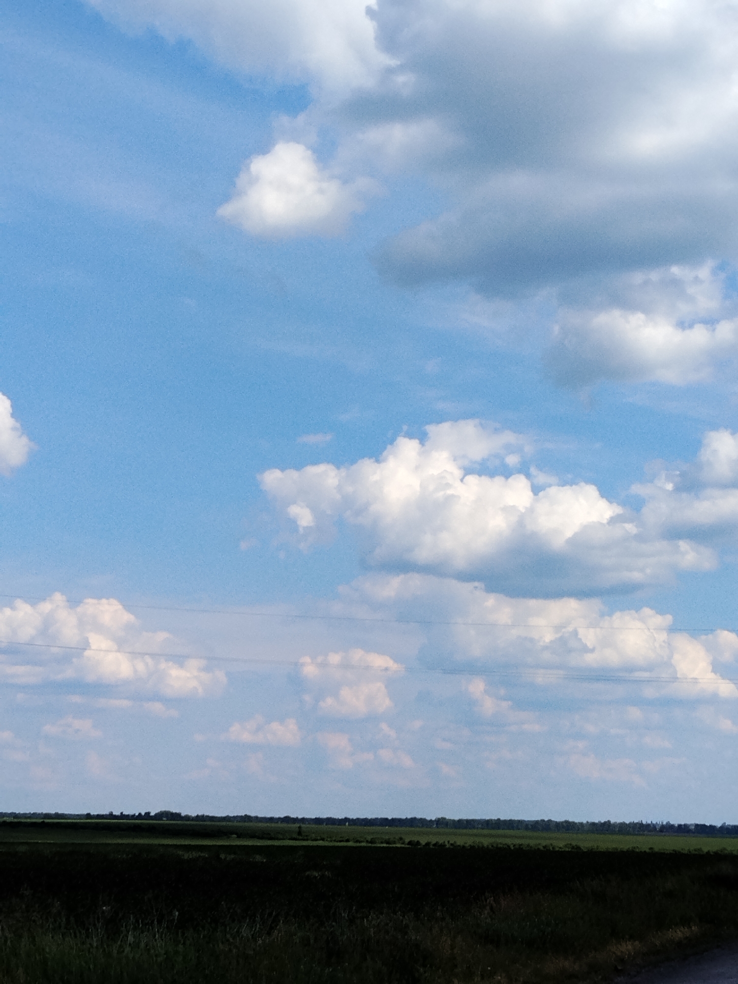 This image depicts a rural landscape in Ruda, Ukraine. The upper two-thirds of the frame are occupied by a partially cloudy sky, displaying a clear blue background with numerous white cumulus cloud formations, some distinct and brightly lit, others appearing greyer and more diffuse. Two thin, dark, parallel overhead utility lines traverse horizontally across the mid-ground, situated in the lower section of the sky, extending from left to right. Below these lines, a flat horizon separates the sky from a distant band of dark green trees or dense foliage. The lower third of the image comprises expansive, flat agricultural fields, presenting as lighter green in the mid-distance and transitioning to a heavily shadowed, dark green, undifferentiated foreground of low-lying vegetation. No individuals, human-made structures beyond the utility lines, or animals are visible within the frame.