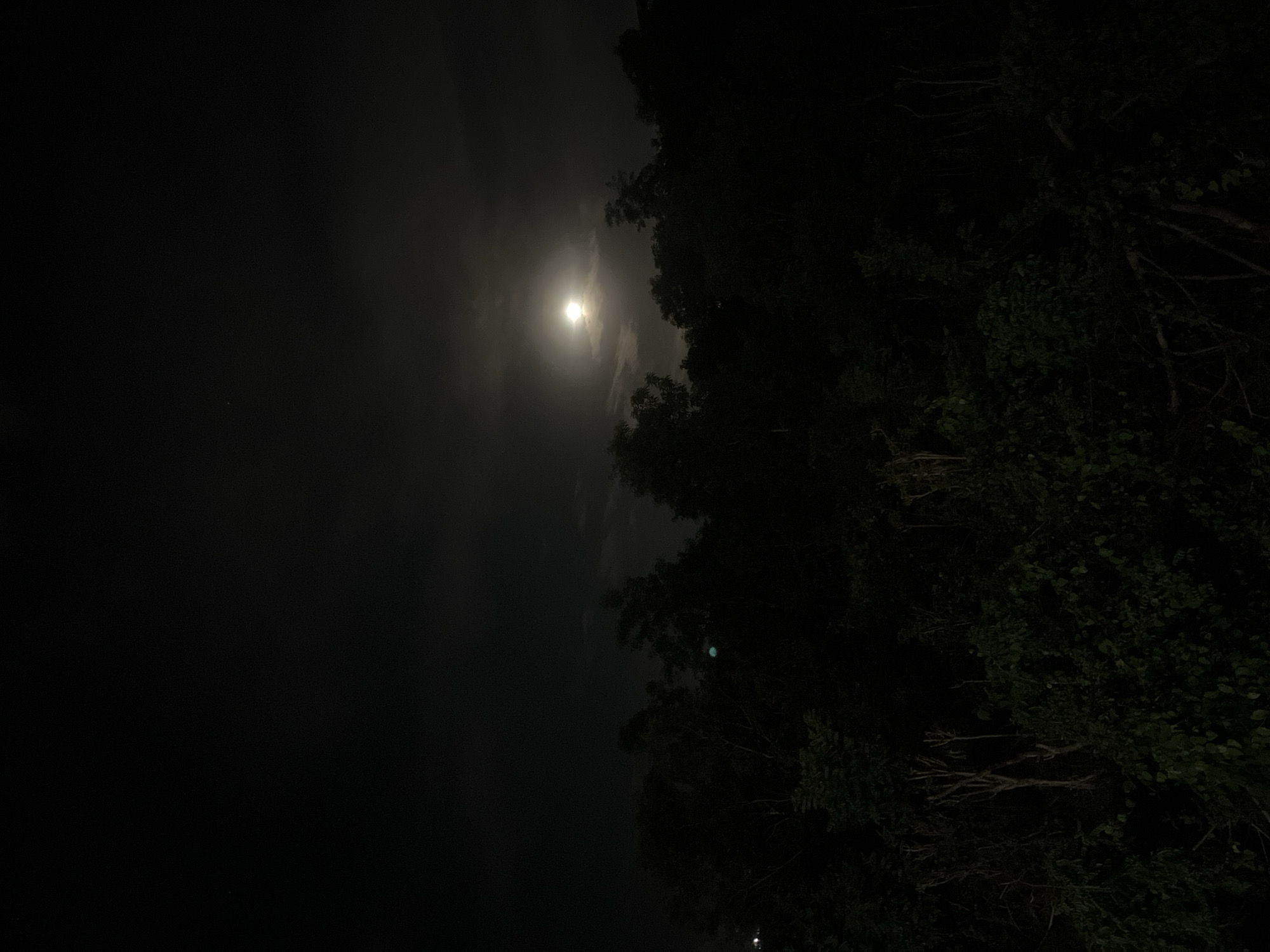 The image captures a nighttime outdoor scene, predominantly featuring a bright moon and dense tree foliage. The photograph is oriented vertically, with the dark night sky occupying the left side of the frame and a significant portion of the right side filled with trees.
In the upper-middle area, a brilliant, circular light source, strongly resembling the moon, emits a radiant glow. This celestial body is partially veiled by translucent clouds, which softly diffuse its light, creating a hazy halo effect around it. The clouds appear to be thinly spread, allowing much of the moon's brightness to penetrate.
To the right of the moon, and spanning the entire vertical length of the frame, are the dark, silhouetted forms of numerous tree branches and a thick canopy of leaves. The foliage appears dense, suggesting a significant wooded area or large trees. While largely obscured by the darkness of the night, some individual leaf textures and branch structures are faintly visible, particularly where they catch residual light from the sky or moon. The deep shadows cast by the trees contrast sharply with the luminous moon and the brighter parts of the sky.
The time of day is clearly night, and the presence of clouds suggests a partly cloudy sky. The setting appears to be a natural or semi-natural environment, possibly in a rural or suburban area. There are no visible people, animals, or artificial structures, and no text is discernible within the image. The location context for this scene is Kuta Selatan, Indonesia.
