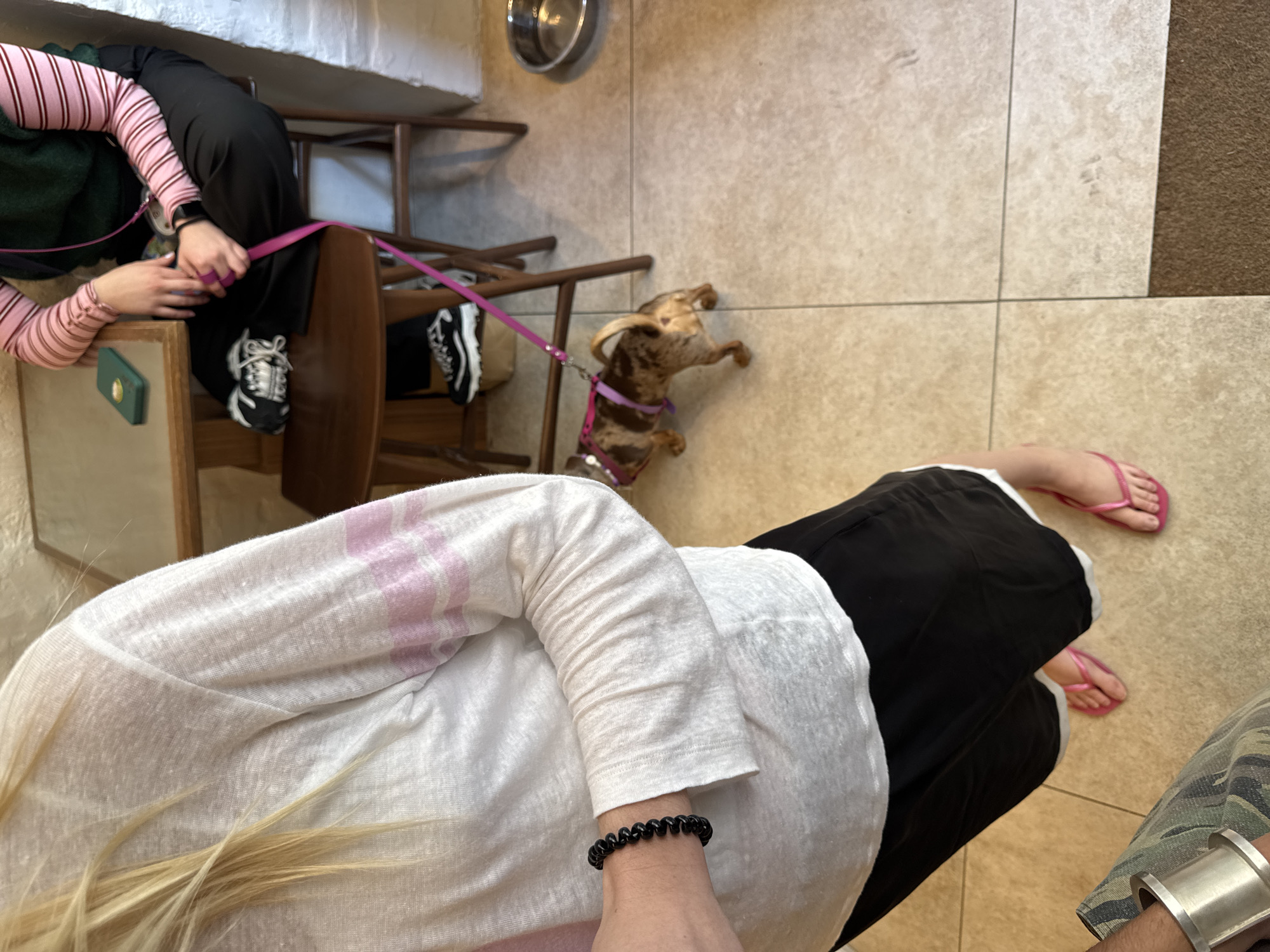 This indoor scene, likely in Paris, France, is captured from a top-down perspective, featuring three people and a small dog on a tiled floor.
On the left, a person is seated, wearing black pants, a green vest, and a pink and white striped long-sleeve shirt. They are holding a bright pink leash connected to a small, dapple-patterned dog wearing a matching pink harness. The dog stands on the light-colored tiled floor, looking away from the camera. A metal bowl rests on the floor nearby. The person's feet, clad in black and white sneakers, are visible, and a green wallet or phone lies on a wooden surface beside them.
In the foreground and to the right, another person is seated, wearing a white long-sleeve shirt with faint pink stripes, black pants, and pink flip-flops. A black coiled bracelet is on their wrist. Partially visible to their right is the leg of a third individual, wearing camouflage pants and a wide silver bracelet. The floor is light-colored tile with visible grout lines, transitioning to a dark brown carpeted area on the far right. Wooden furniture, possibly chairs or stools, is scattered throughout the space. The setting appears to be a casual public area, such as a cafe or waiting room. No discernible text is visible in the image.