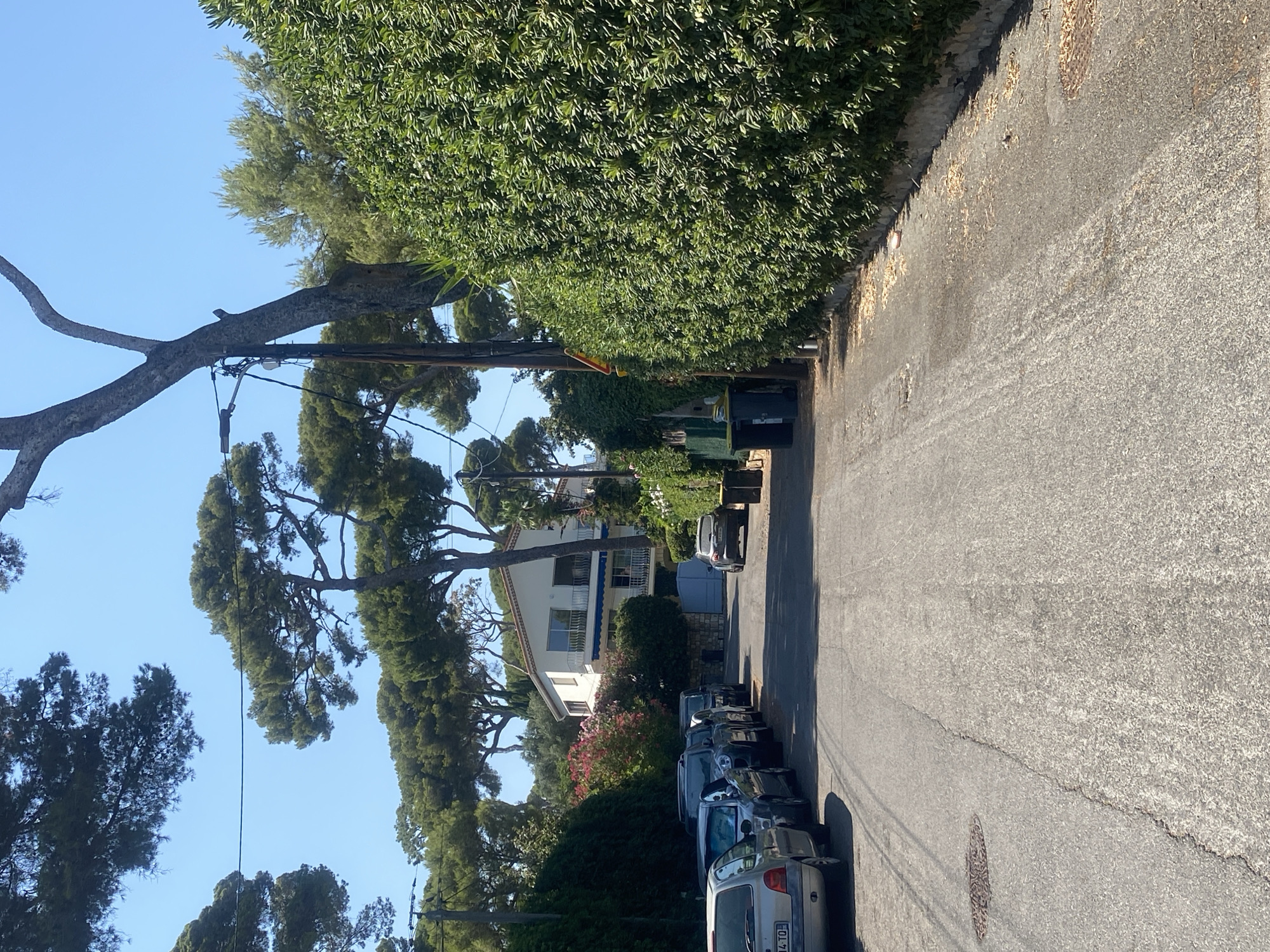 A residential street in Antibes, France, lined with dense green hedges on the right and cars parked on the left. A white house with a blue awning and balconies is visible in the background, surrounded by tall pine trees and lush vegetation. The street is paved with asphalt and shows signs of wear and tear, with a manhole cover visible in the foreground. The sky is clear and blue, indicating a sunny day. There are no people visible in the image.