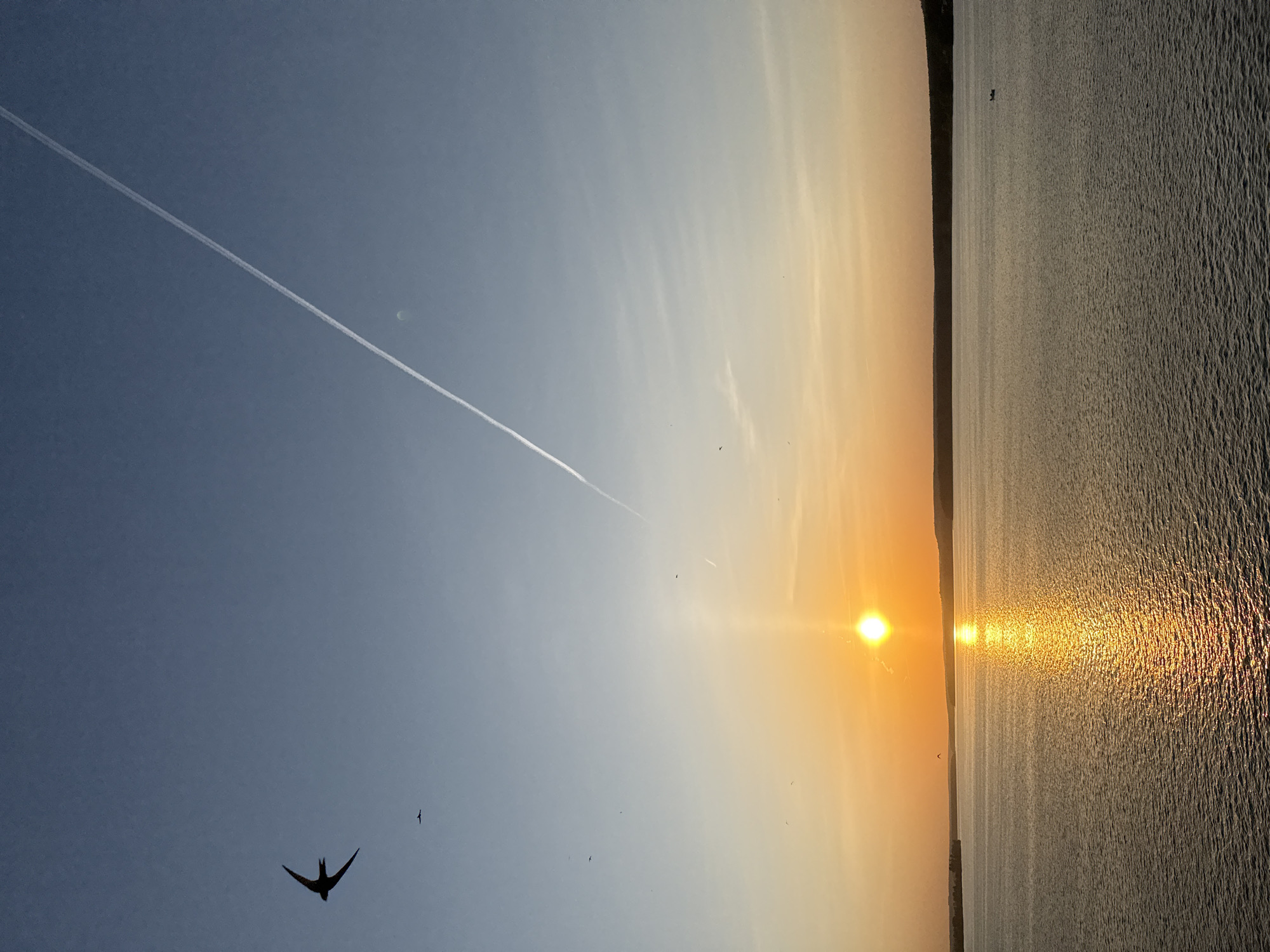 The image depicts a landscape at sunrise or sunset, possibly in Votkinsk, Russia. The sky transitions from blue to orange as the sun approaches the horizon, its bright orb reflecting on the body of water. A contrail stretches across the sky, and a bird, likely a swallow, is visible in silhouette in the lower-left corner. Other birds are scattered in the sky. A shoreline is present on the right. A small boat is seen far away in the water.
