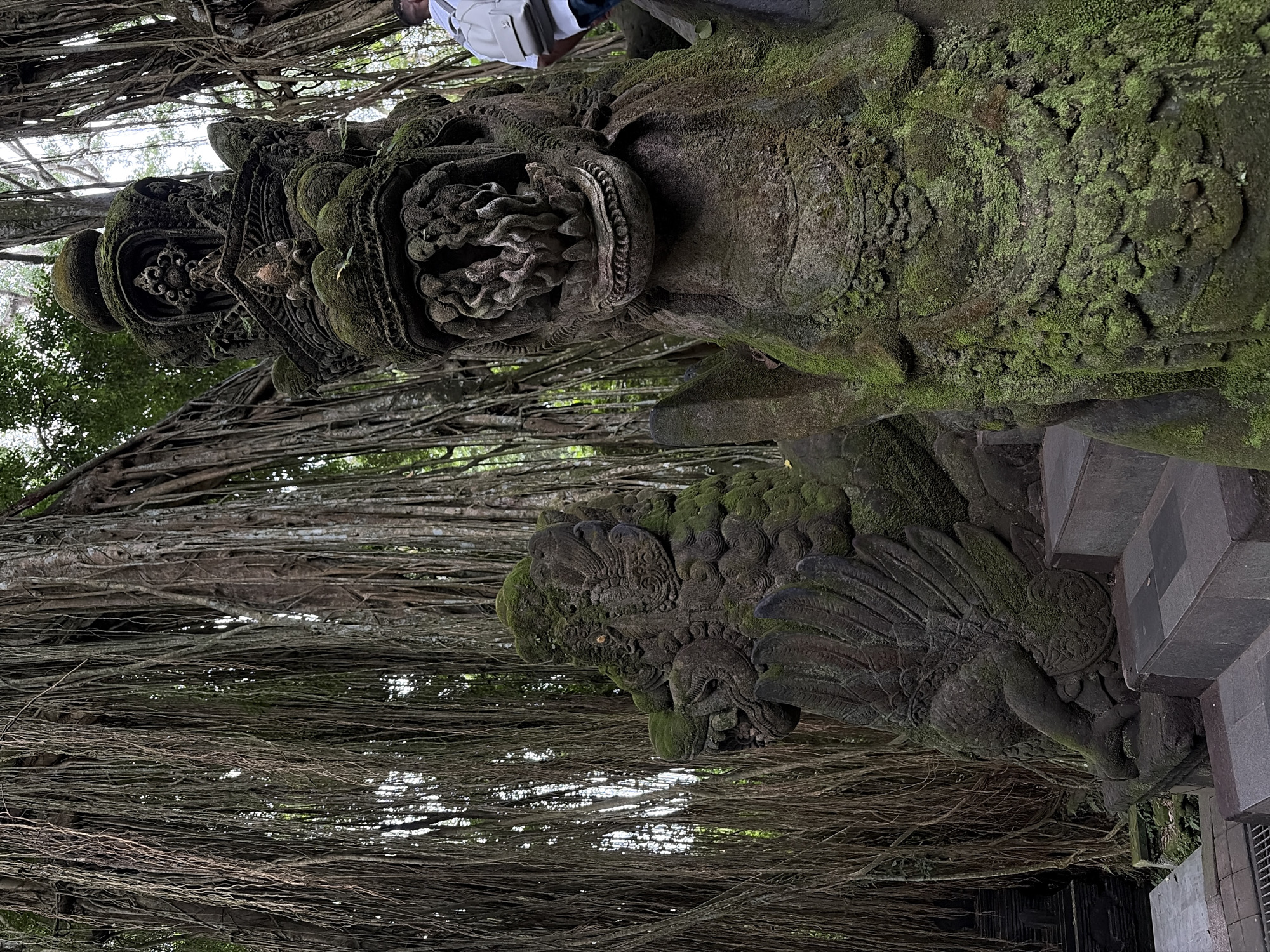 In the Ubud Monkey Forest in Ubud, Indonesia, ancient stone statues covered in moss stand guard amidst a dense forest of banyan trees. The statue in the foreground, a fearsome mythical creature with sharp teeth and an open mouth, is partially obscured by the gnarled roots of the surrounding trees. Behind it, another moss-covered statue, possibly a dragon or lion, is visible. The ground is paved with stone steps leading further into the forest. A person wearing a white shirt and a backpack is walking away from the camera, partially visible on the right side of the frame. The overall atmosphere is one of ancient mystery and natural beauty.