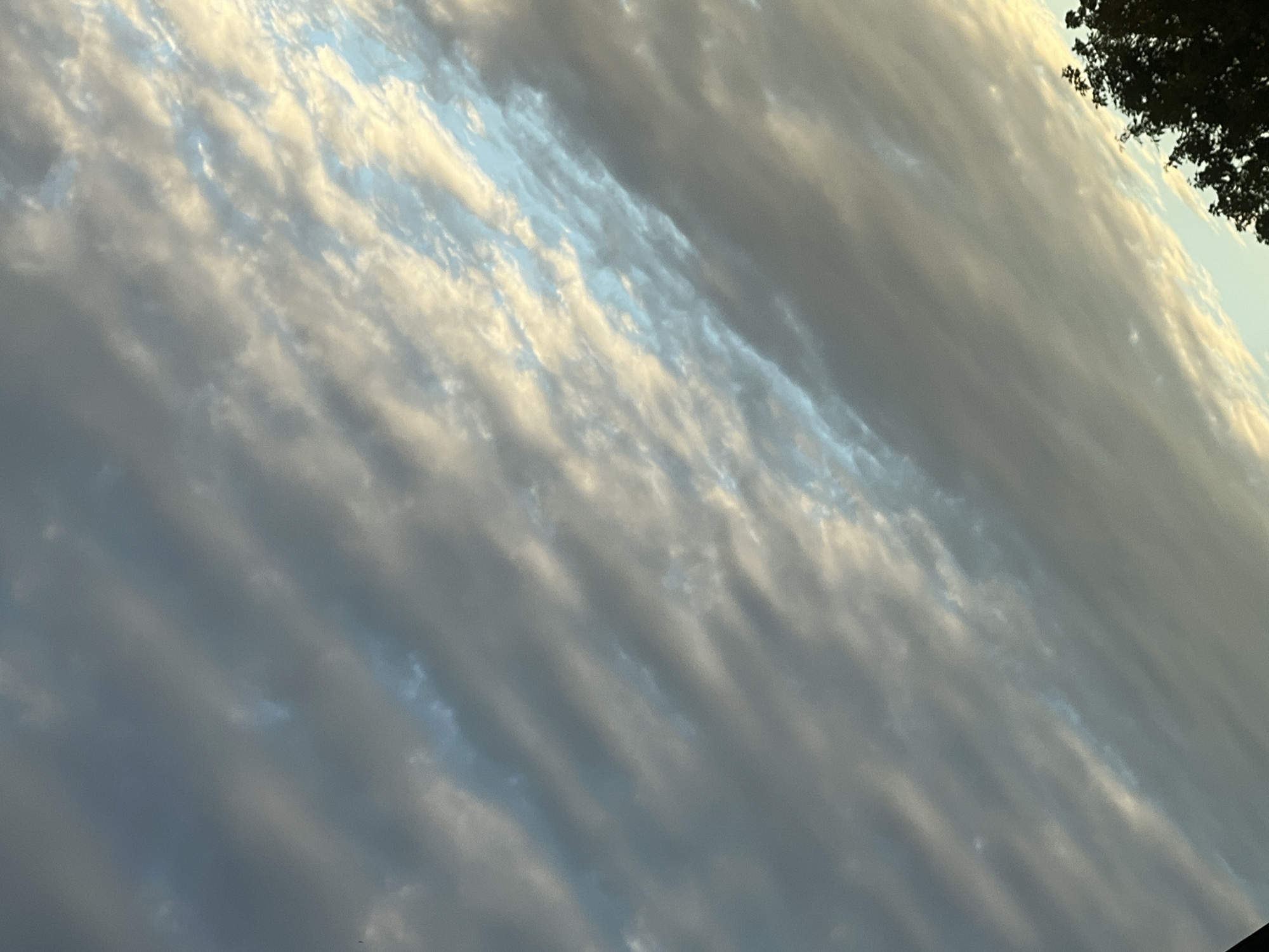The image shows a sky filled with layered clouds. The clouds are predominantly gray and white, with some areas of light blue sky visible through gaps. The cloud formations appear textured and elongated, suggesting movement or wind. In the lower right corner, the dark silhouette of tree foliage is visible against the sky, indicating the presence of vegetation. The overall lighting suggests it is either dawn or dusk. The image does not contain any discernible elements that would allow for the identification of a specific location within the city of Warsaw, Poland.