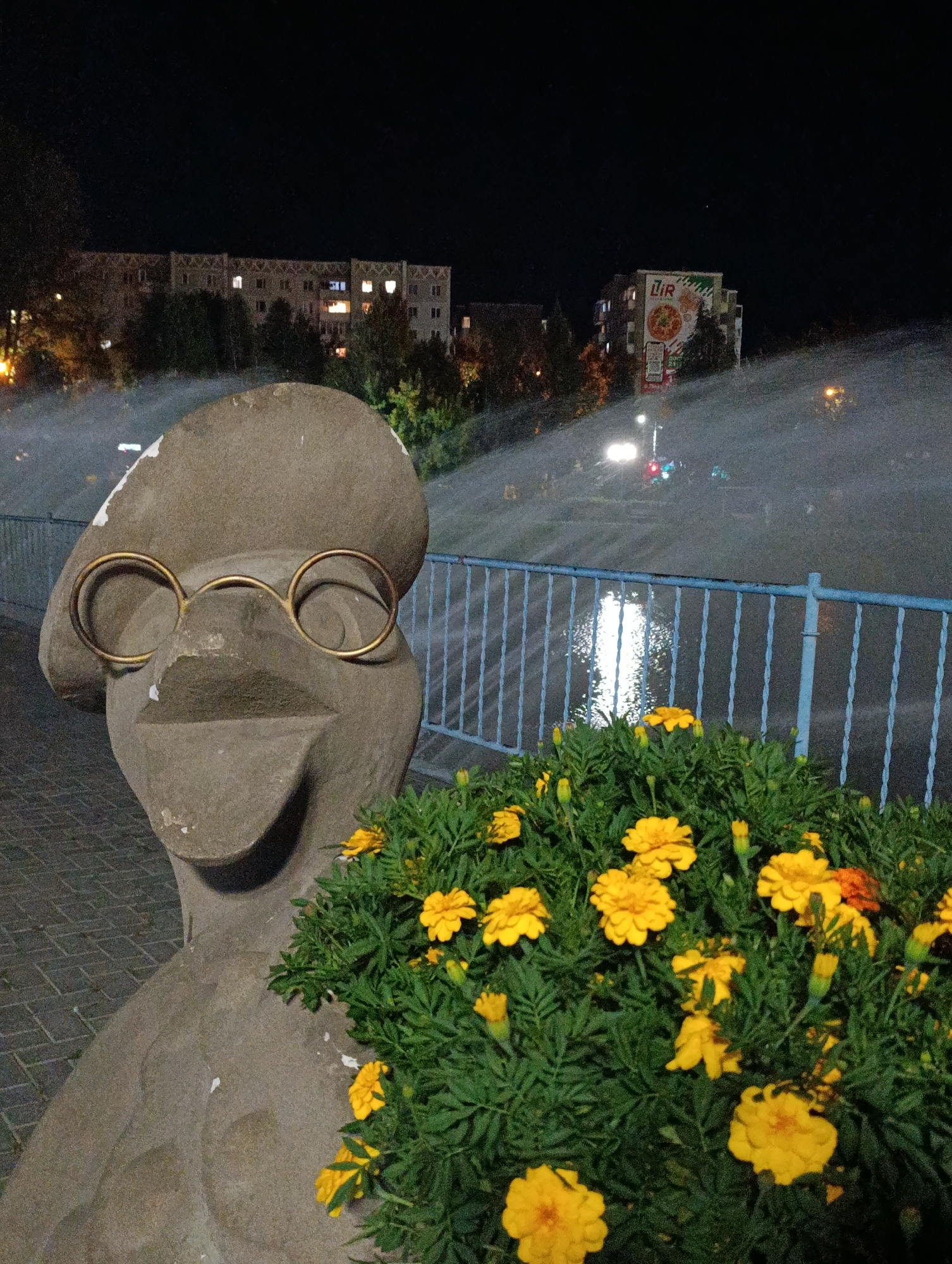 This is a nighttime, medium-shot photograph taken at the Abakan embankment in Abakan, Russia. The foreground features a stone sculpture of a bird-like head wearing round, gold-rimmed glasses and a beret. In front of the sculpture, a bush of bright yellow marigolds is in bloom. A blue metal railing runs horizontally across the middle ground of the image, separating the embankment path from a body of water. Beyond the railing, the water reflects the lights of the city and a large fountain is spraying mist into the air, illuminated by artificial lights. In the background, apartment buildings are visible, with some windows lit from within. The sky is dark and clear.