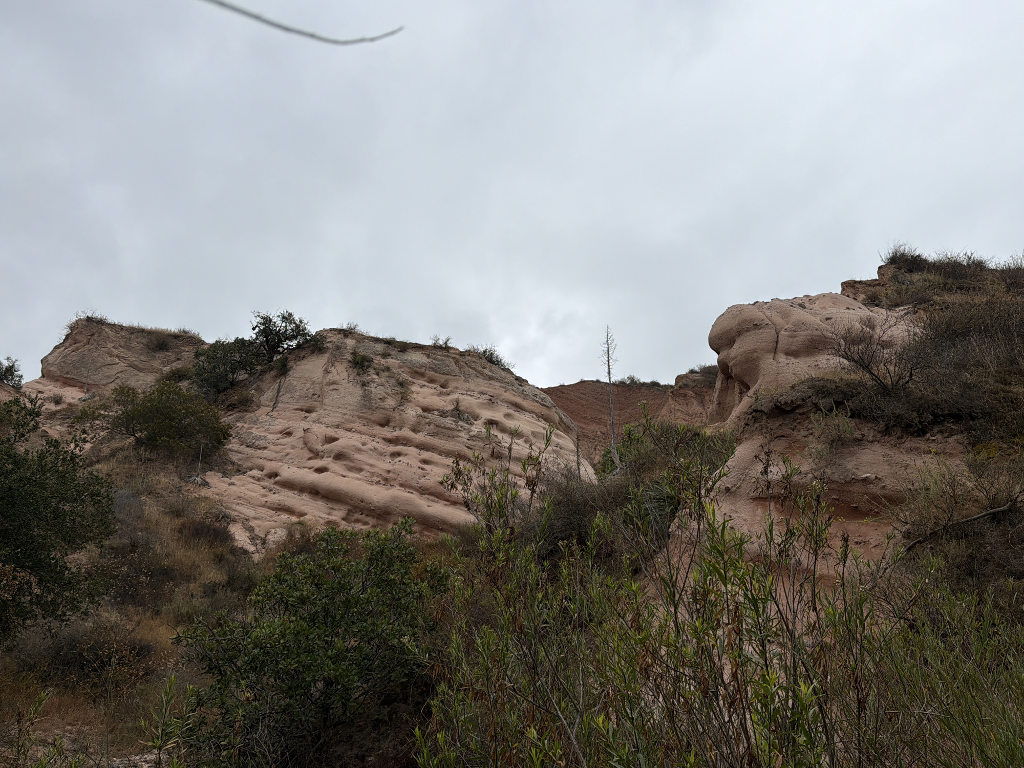 This media file depicts a natural landscape under an overcast sky. The scene features large rock formations with layered textures and numerous small holes or indentations on their surfaces. These rock formations are interspersed with vegetation, including trees and shrubs, which appear dry and somewhat sparse, suggesting a semi-arid or dry climate. The foreground is dominated by dense green foliage, with some taller, thinner plants and bushes. In the background, the rock formations rise upwards, with a single, bare tree visible on the slope of one of the larger hills. The overall impression is one of a rugged, natural environment. The time of day appears to be daytime, given the ambient light, and the weather is cloudy, creating a diffused light. There are no people or visible objects, besides the natural elements. The location context suggests this is a scene from Lake Forest, United States of America, likely a natural park or wilderness area. There is no visible text in the image.