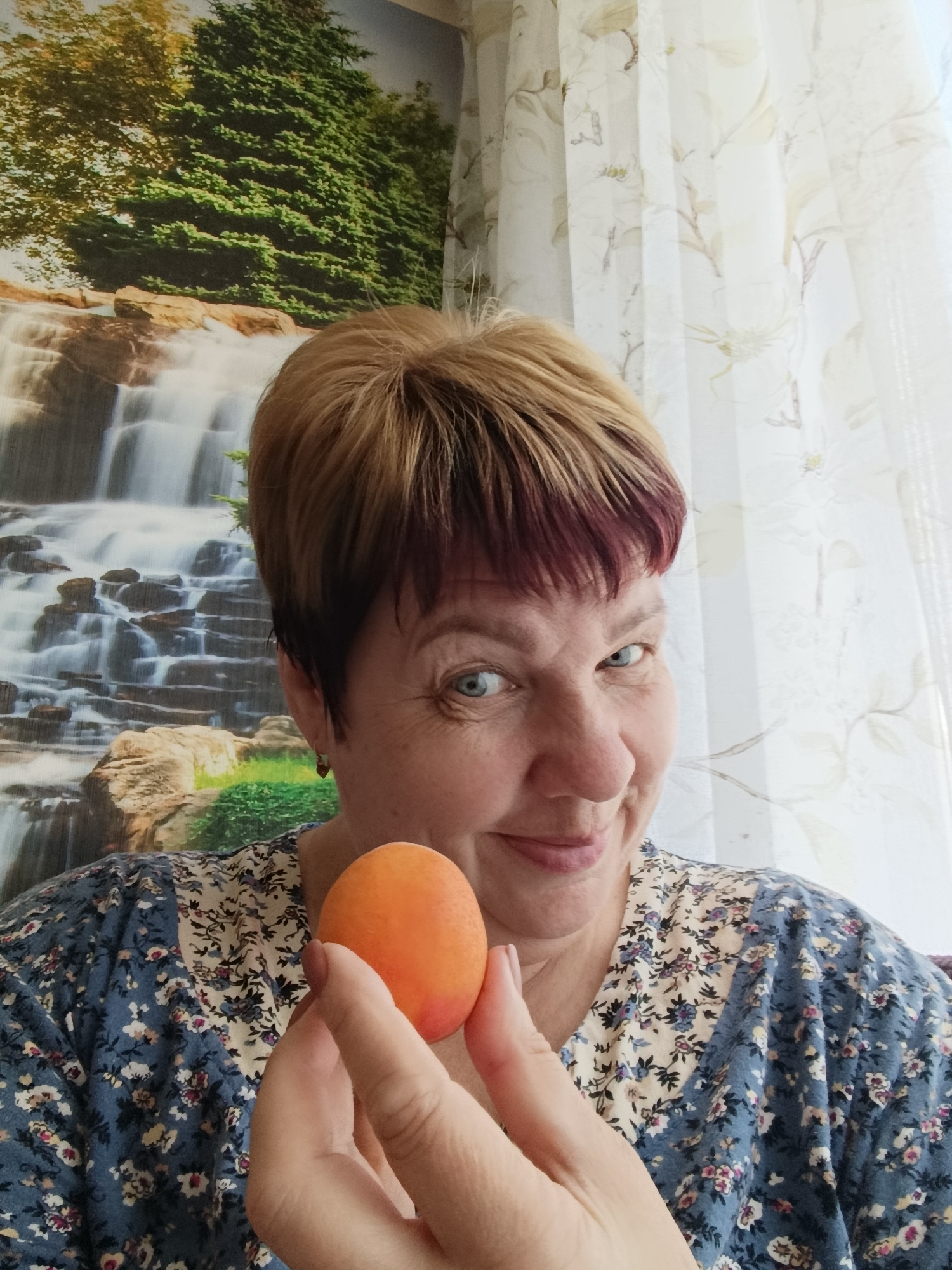 In a close-up, indoor, eye-level shot, a middle-aged woman with short, blonde hair with streaks of purple smiles playfully at the camera, holding an apricot in her right hand. She is wearing a blue floral-patterned shirt. The background features a tapestry depicting a waterfall and lush green trees, along with sheer floral curtains. The scene appears to be set in a residential interior in Svietlahorsk, Belarus.