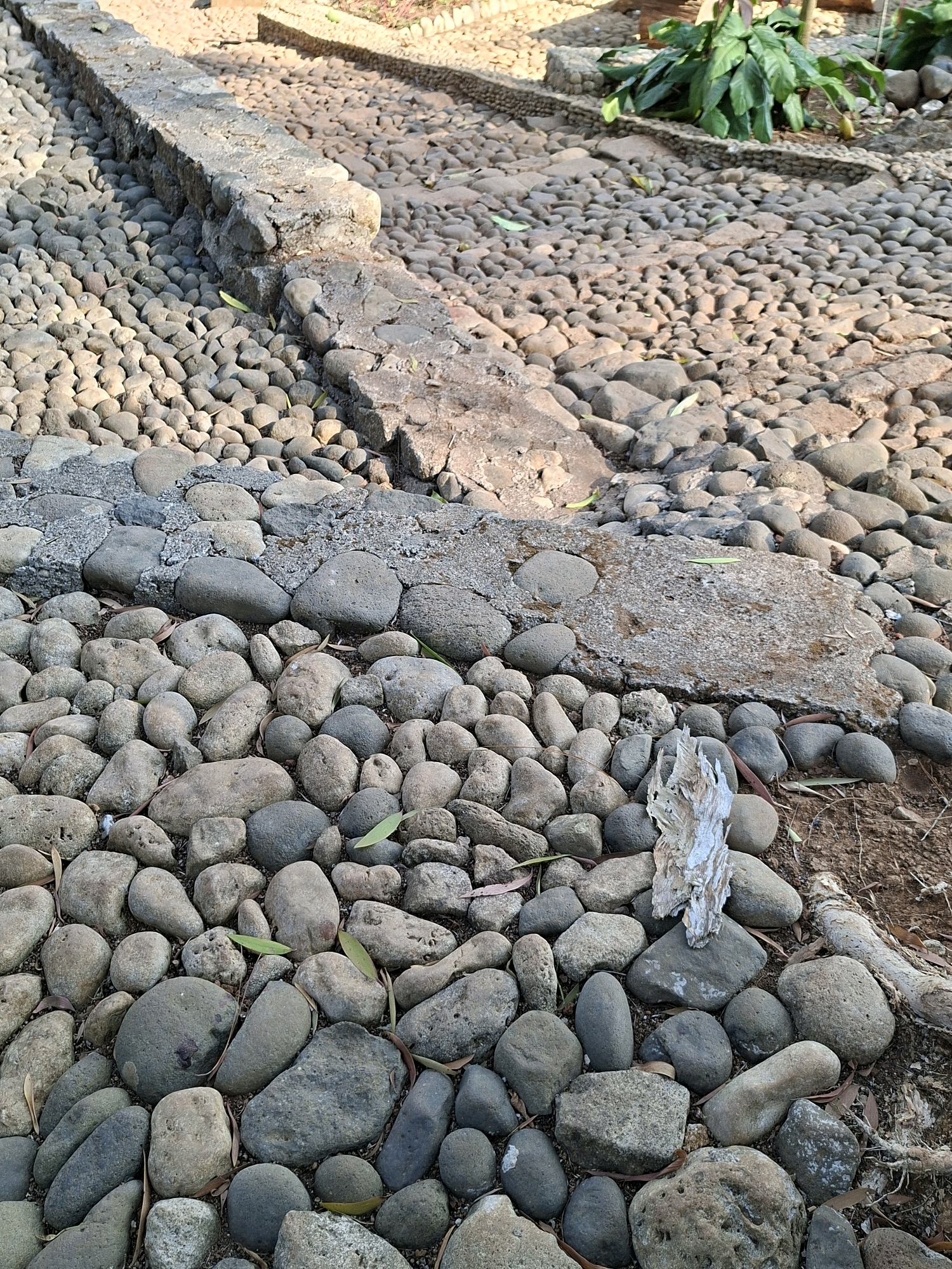 The image shows a garden pathway made of smooth, rounded river stones, varying in size and color from light gray to dark brown. A low stone border, constructed from rough-hewn rectangular stones, delineates one side of the path. The pathway appears to be in a relatively natural setting, possibly a park or a private garden, with some dry leaves scattered on the ground and a small patch of green foliage visible in the upper right corner. The lighting suggests it is daytime, with sunlight casting shadows on the stones, indicating a slightly uneven surface. The scene is devoid of any people. This pathway is located in the city of Dlingo, Indonesia.