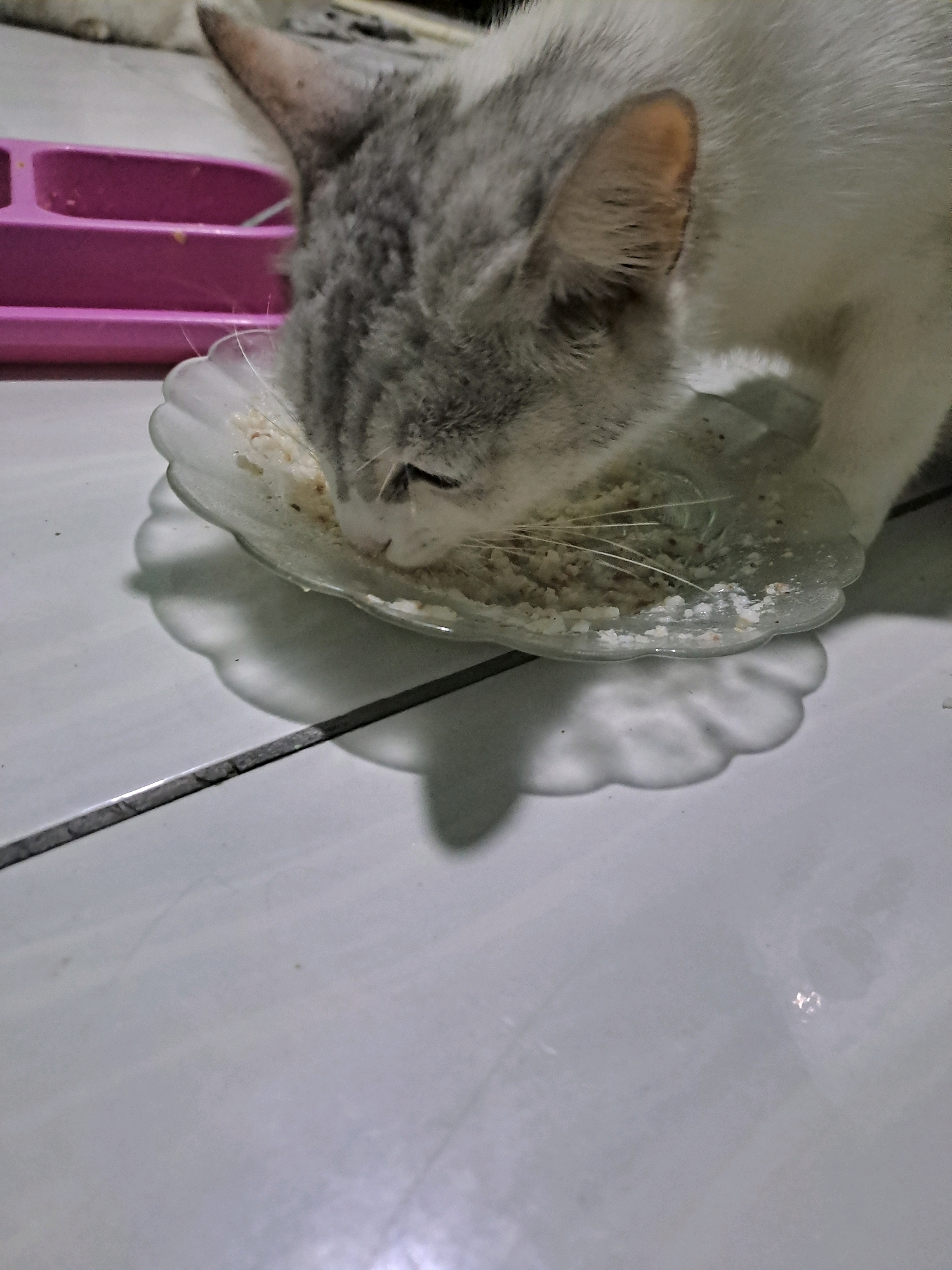 A close-up, eye-level shot captures a grey and white cat with its head down, eating from a decorative, clear glass bowl filled with kibble. The cat's face is mostly obscured by its focus on the food. The bowl is placed on a tiled floor, which appears to be grey or white with darker grout lines. A bright pink feeding dish is visible in the background, slightly out of focus. The lighting creates a shadow of the bowl and the cat's head on the floor, giving the scene a soft, diffused appearance. The environment appears to be indoors, likely a domestic setting. No specific details about the city of Helvetia, Indonesia are present in the image itself.