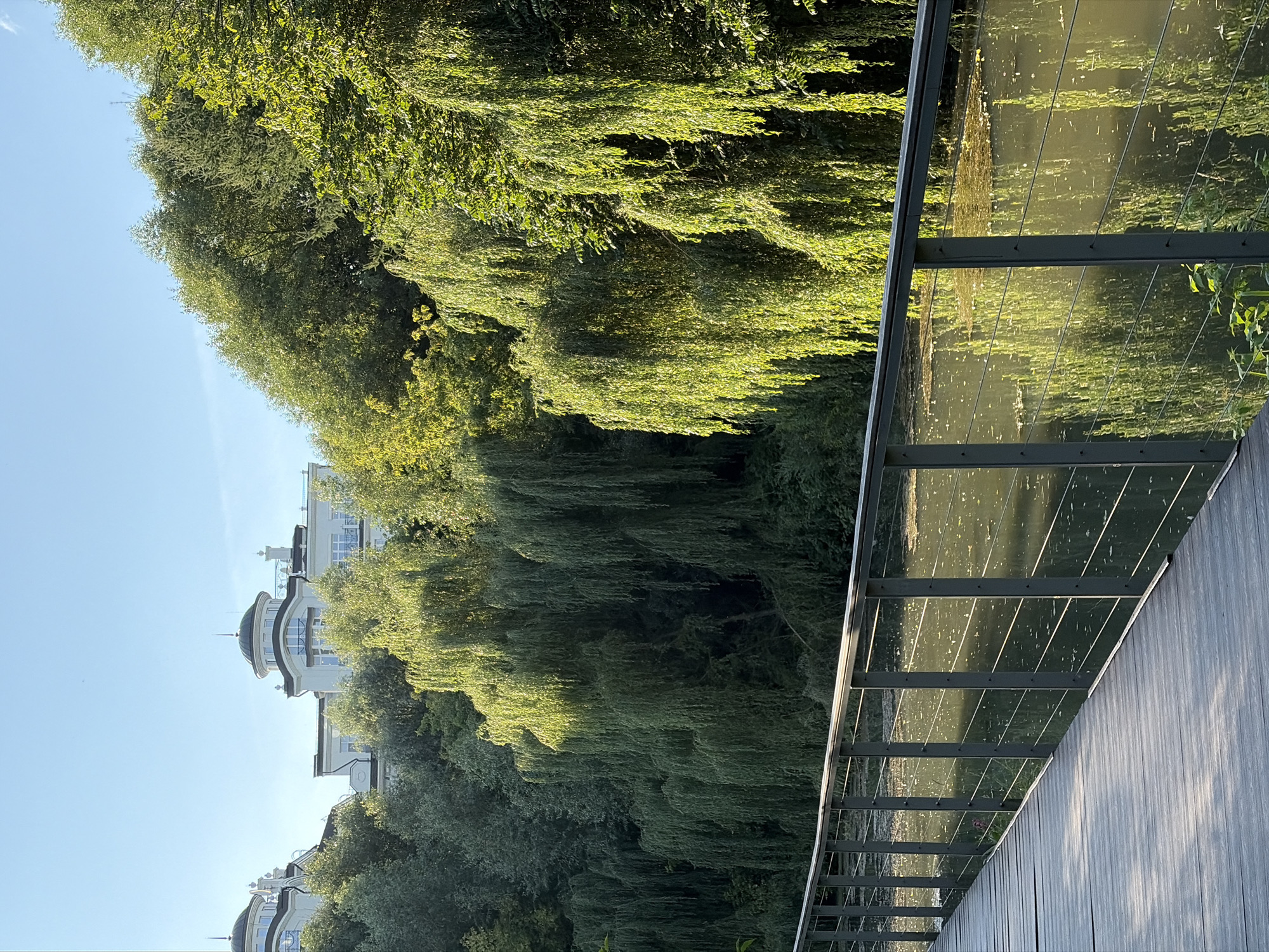 This image captures a serene waterfront scene with a modern wooden boardwalk in the foreground, leading towards a lush green landscape. The boardwalk, constructed of grey wooden planks, features a dark metal railing with horizontal cables. Beyond the railing lies a calm body of water, reflecting the surrounding greenery and the clear, bright blue sky. The water's surface is dotted with patches of floating organic matter.
Dominating the background is a dense collection of trees, with a prominent cluster of weeping willows whose long, cascading branches reach towards the water, bathed in the golden light of the sun. Behind the trees, on a gentle slope, stand two opulent, multi-story white buildings with distinctive domed roofs and balconies. The architecture suggests a luxurious, possibly residential, complex. The overall atmosphere is peaceful and tranquil, indicative of a well-maintained park or estate. There are no people visible in the image.