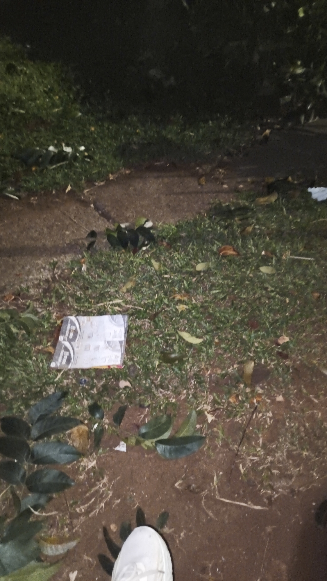 A low-angle, night-time photograph captures a portion of a sidewalk and adjacent grassy area, possibly in South Jakarta, Indonesia. The sidewalk is a light brown concrete path. To the left of the sidewalk is a patch of short green grass, with several fallen leaves scattered on it. In the grass, a folded piece of paper or thin cardboard is visible, showing what appears to be an advertisement or product packaging with circular graphics. Further into the grass, there are some dark green leaves. To the right of the sidewalk, the ground is a reddish-brown dirt with sparse dry grass and a few fallen leaves. A white sneaker is visible at the bottom center of the image, suggesting the photographer's perspective. The background is dark and out of focus, with hints of foliage and shadow.