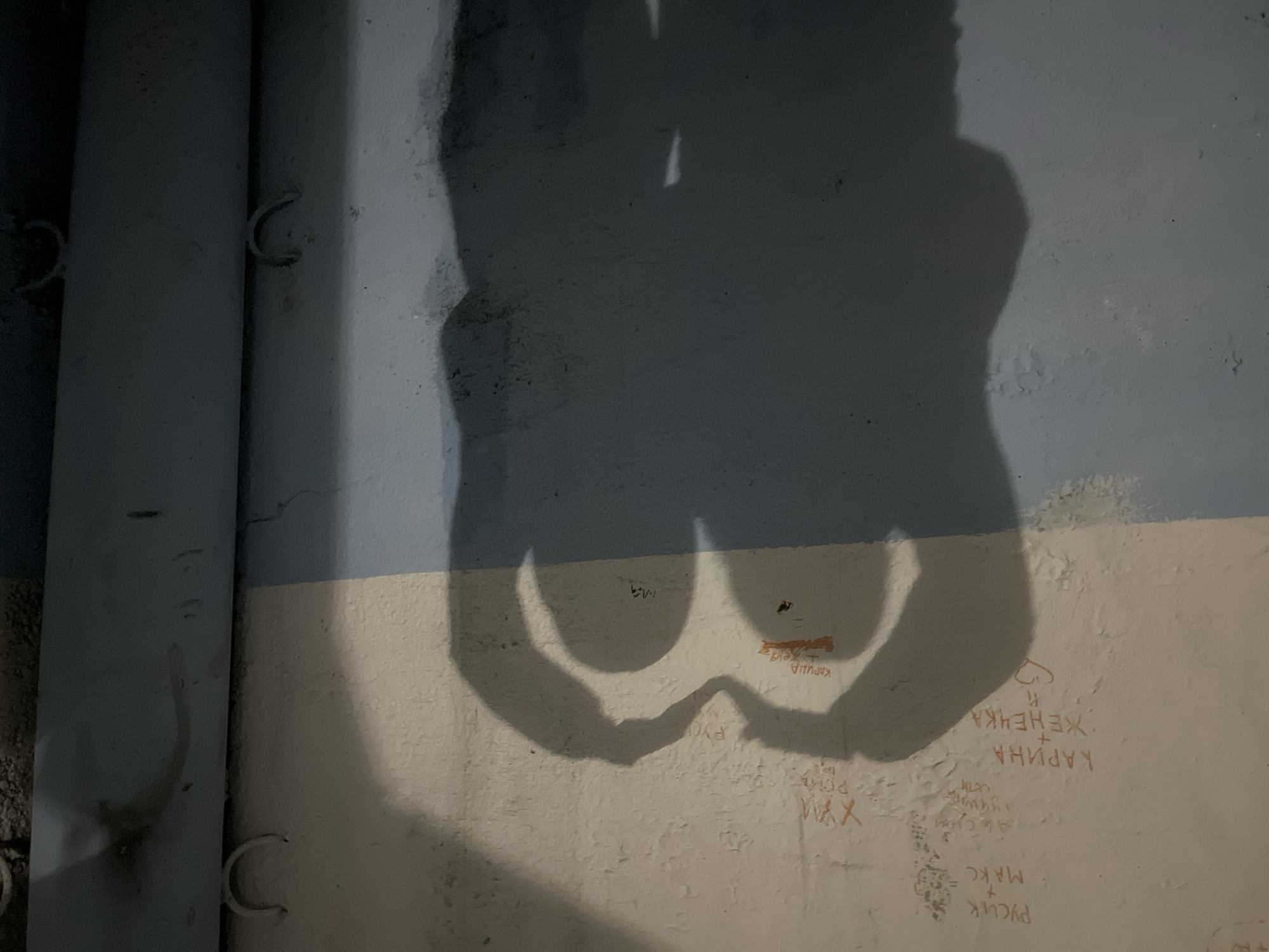 Image shows a wall with a two-tone paint job, blue on the upper portion and white on the lower. On the left side of the wall are two metal pipes attached to the wall with metal fixtures. The shadow of two people making a heart shape with their hands is cast on the wall. There is writing on the white section of the wall, including names written in Cyrillic. The location is Сосново, Russia.
