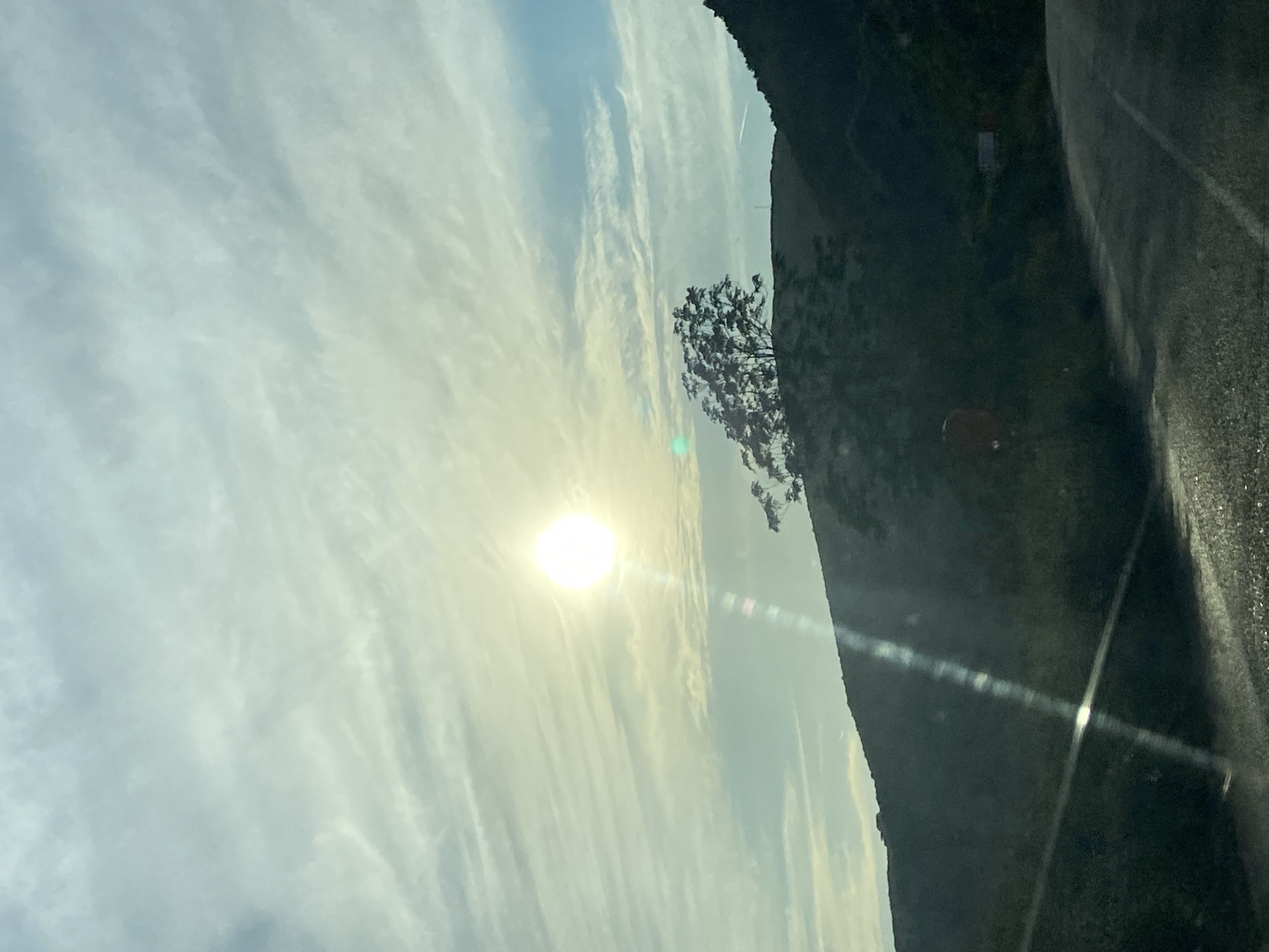 The image depicts a sunlit scene with a bright sun high in a hazy, cloud-streaked sky. A silhouetted tree stands on a dark, grassy hillside. A paved road curves in the foreground. The overall setting appears to be a natural, possibly rural, environment. The image is taken from a moving vehicle, as evidenced by the lens flare streaking across the scene and the slightly blurred appearance. There are no people visible. The specific location in the city of Kubasi, Montenegro, is not discernible from the visual information provided in the image.