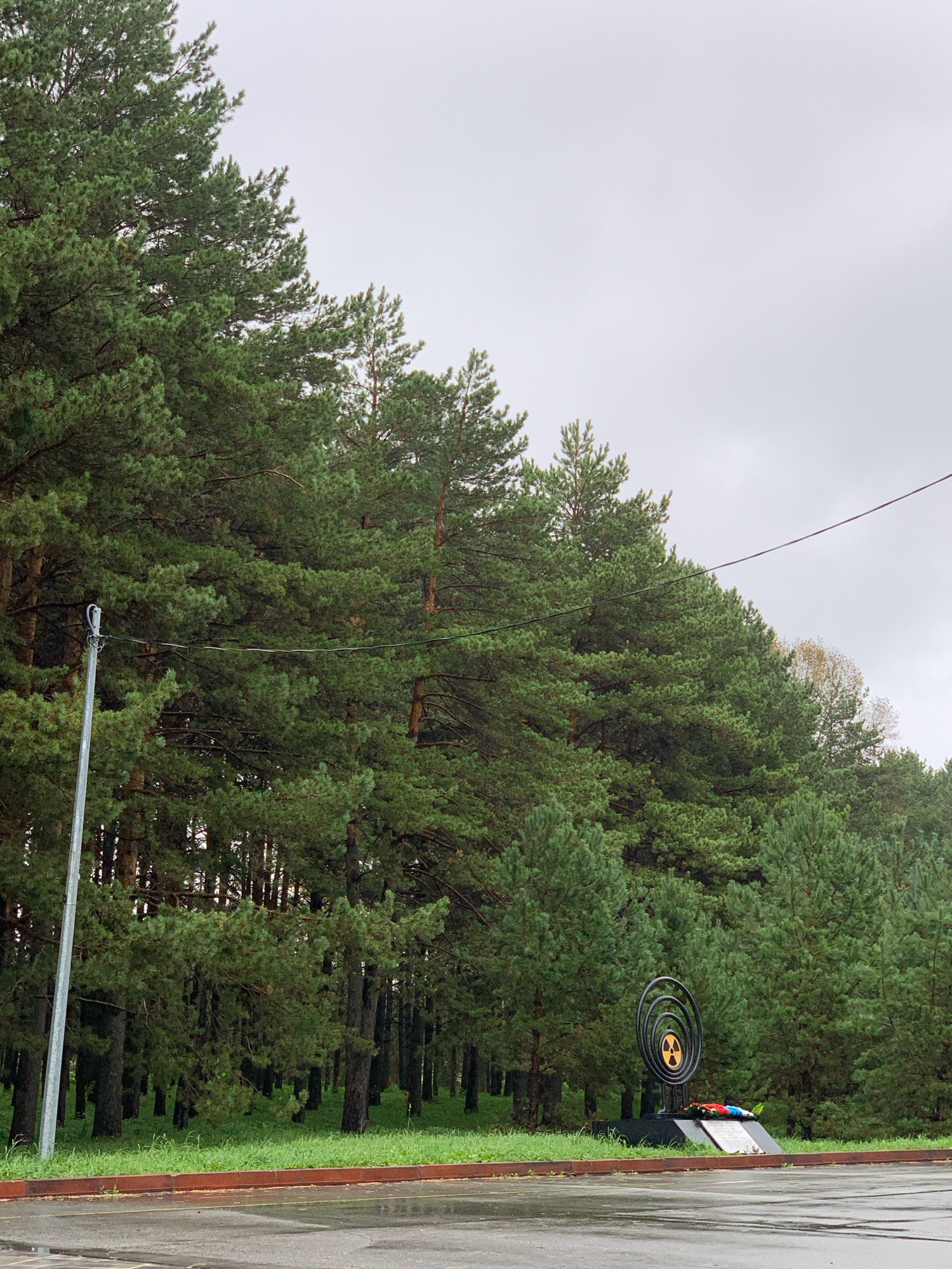 The image depicts a monument with a radiation symbol, situated in a pine forest setting, possibly in Prokopyevsk, Russia. The monument, made of dark metal with a yellow radiation symbol at its center, stands on a black granite base. In front of the monument, there are wreaths of red, white, and blue flowers, and a plaque. The area around the monument is covered in green grass, and behind it, a dense forest of tall pine trees stretches into the distance. The sky is overcast and gray. To the left of the monument, a tall, grey utility pole with some wires attached is visible. The ground in the foreground appears wet and reflective, suggesting it may have recently rained.