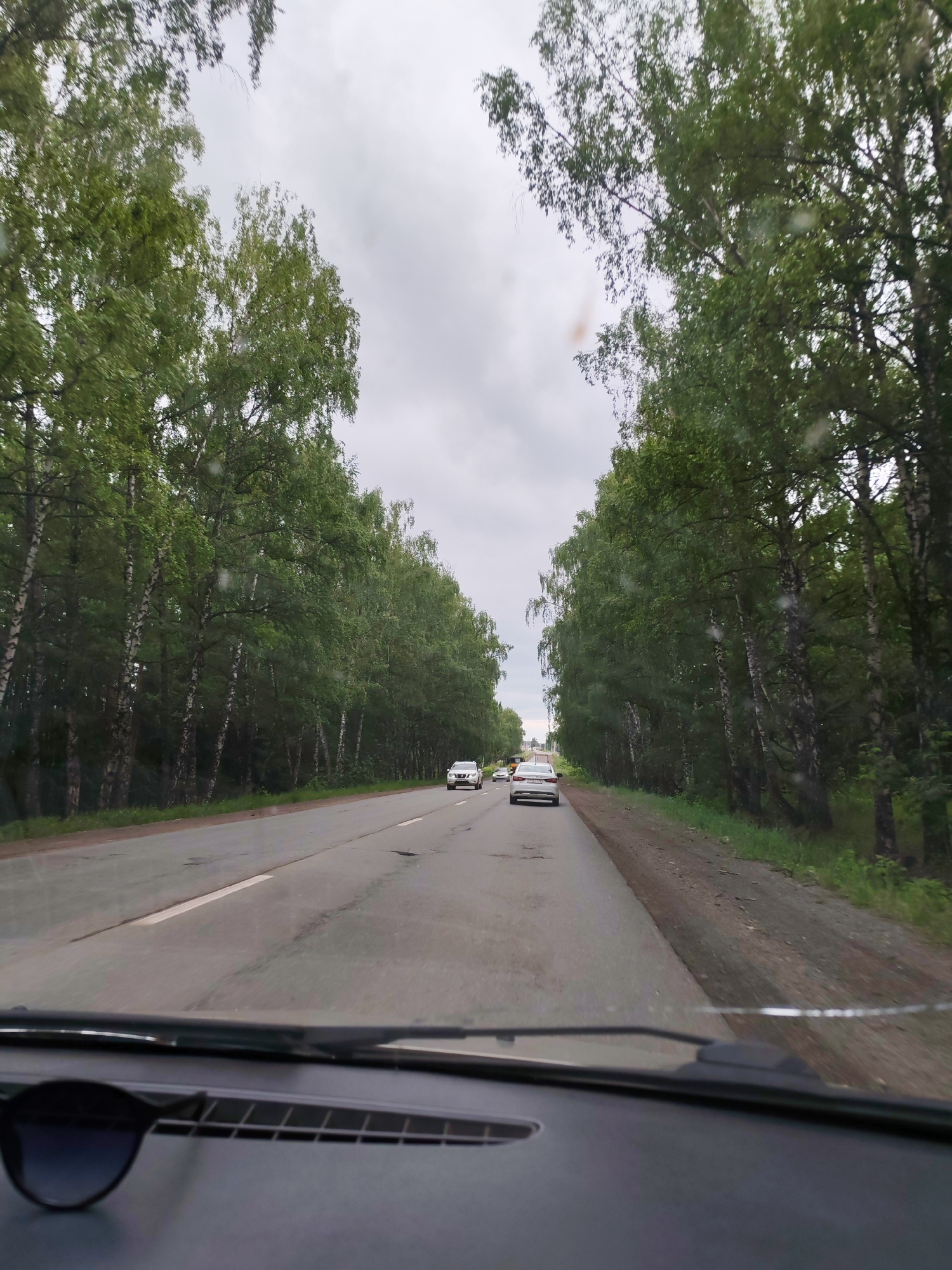 The image depicts a straight two-lane asphalt road, viewed from inside a vehicle through its windshield, with a dashboard and a pair of sunglasses visible at the bottom of the frame. The road is lined on both sides by dense rows of tall birch trees with green foliage, creating a natural canopy effect, in what is identified as Kamennoye, Russia. The sky is overcast and uniformly light gray, indicating a cloudy day. Several vehicles are visible on the road ahead, traveling in the same direction. A white sedan with a Russian license plate is prominently visible in the left lane. The road surface shows signs of wear, including cracks and patches. Small water droplets or smudges are present on the windshield.
