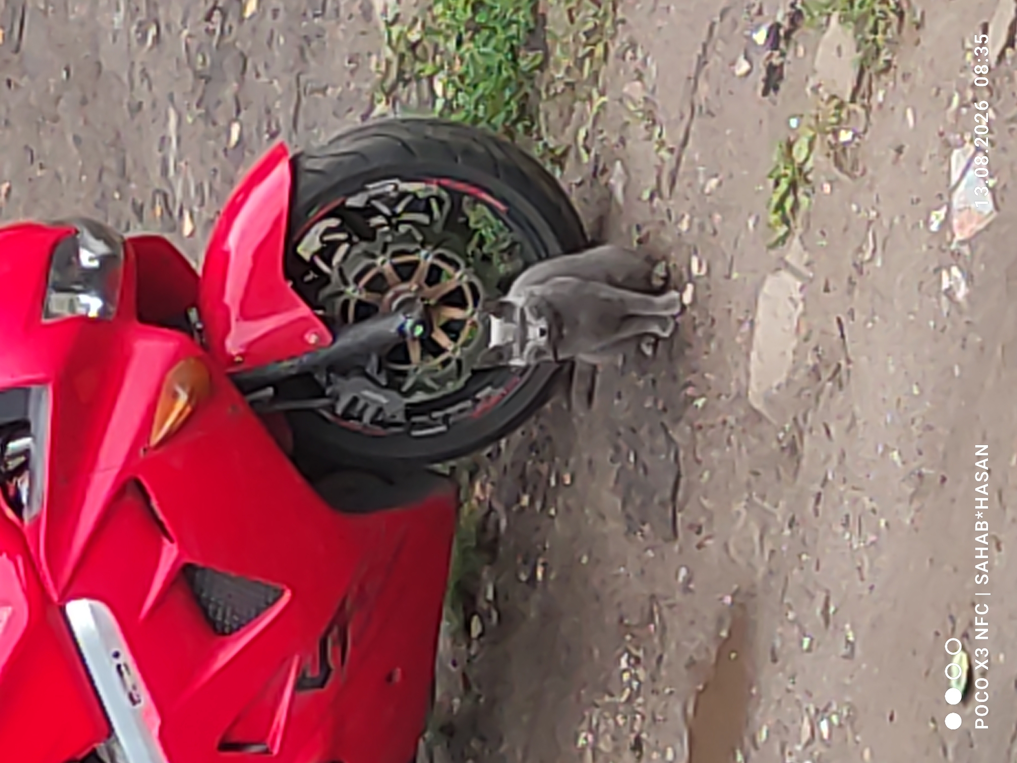 A grey cat is sitting on the dirt ground next to the front wheel of a red motorcycle. The motorcycle is parked on a dirt surface with some sparse vegetation and debris. The cat is looking towards the camera. A timestamp "13.08.2026 08:35" and "POCO X3 NFC | SAHAB*HASAN" are visible in the lower right and left corners of the image, respectively. The scene appears to be an outdoor setting, possibly a street or alleyway in Kostroma, Russia, given the timestamp information and the general appearance of the environment.