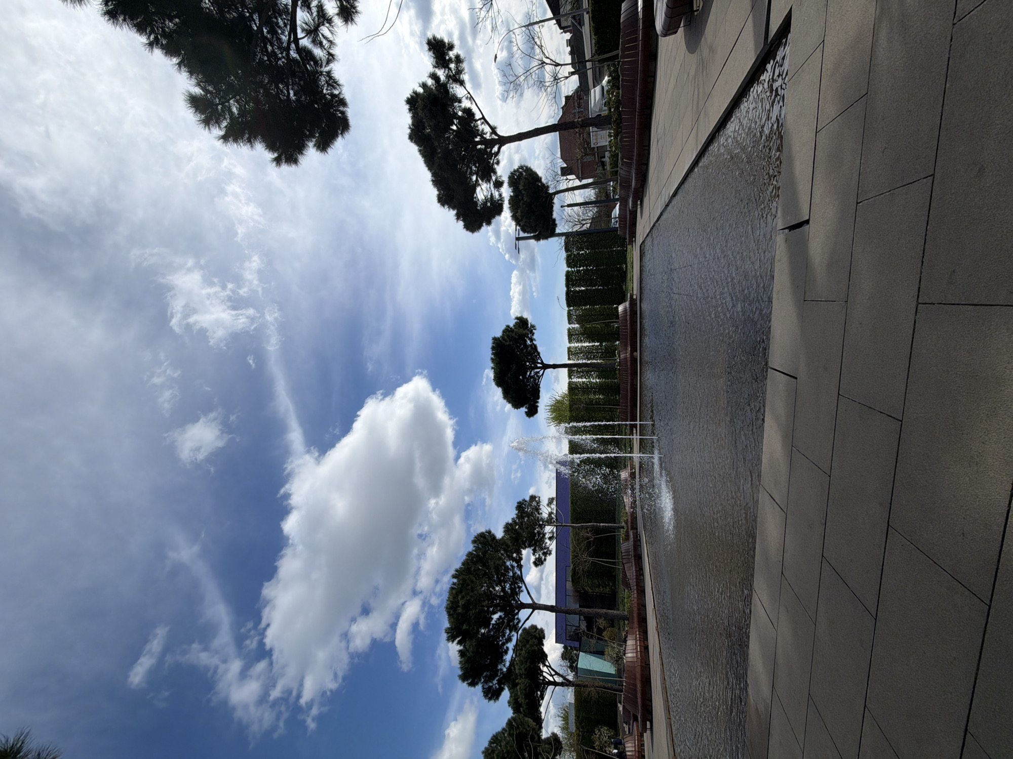 This vertical outdoor shot captures a tranquil scene under a bright, partly cloudy sky. The image is composed with a clear blue sky, adorned with scattered white clouds ranging from wispy cirrus to fluffy cumulus formations, dominating the upper left portion.
In the foreground, on the right side, a modern paved pathway made of dark grey rectangular tiles stretches into the distance. Adjacent to this pathway is a long, narrow water feature, resembling a reflecting pool or a canal, with several fountains actively spouting jets of water upwards, creating ripples on the water's surface.
Along the left side of the water feature, a row of mature conifer trees with distinctive, flattened canopies (possibly umbrella pines) stands prominently. Their dark green foliage provides a strong contrast against the bright sky. Behind these trees, a dense, neatly trimmed green hedge forms a linear backdrop. Beyond the hedge, glimpses of distant urban structures, including a building with a dark blue or purple facade, and streetlights are visible.
A large, dark tree branch extends from the top left corner, its needles silhouetted against the bright sky. The scene appears to be a well-maintained urban park or landscaped area, possibly a public square. The time of day is clearly daytime, characterized by bright sunlight and fair weather. No people or visible text are present in the image.