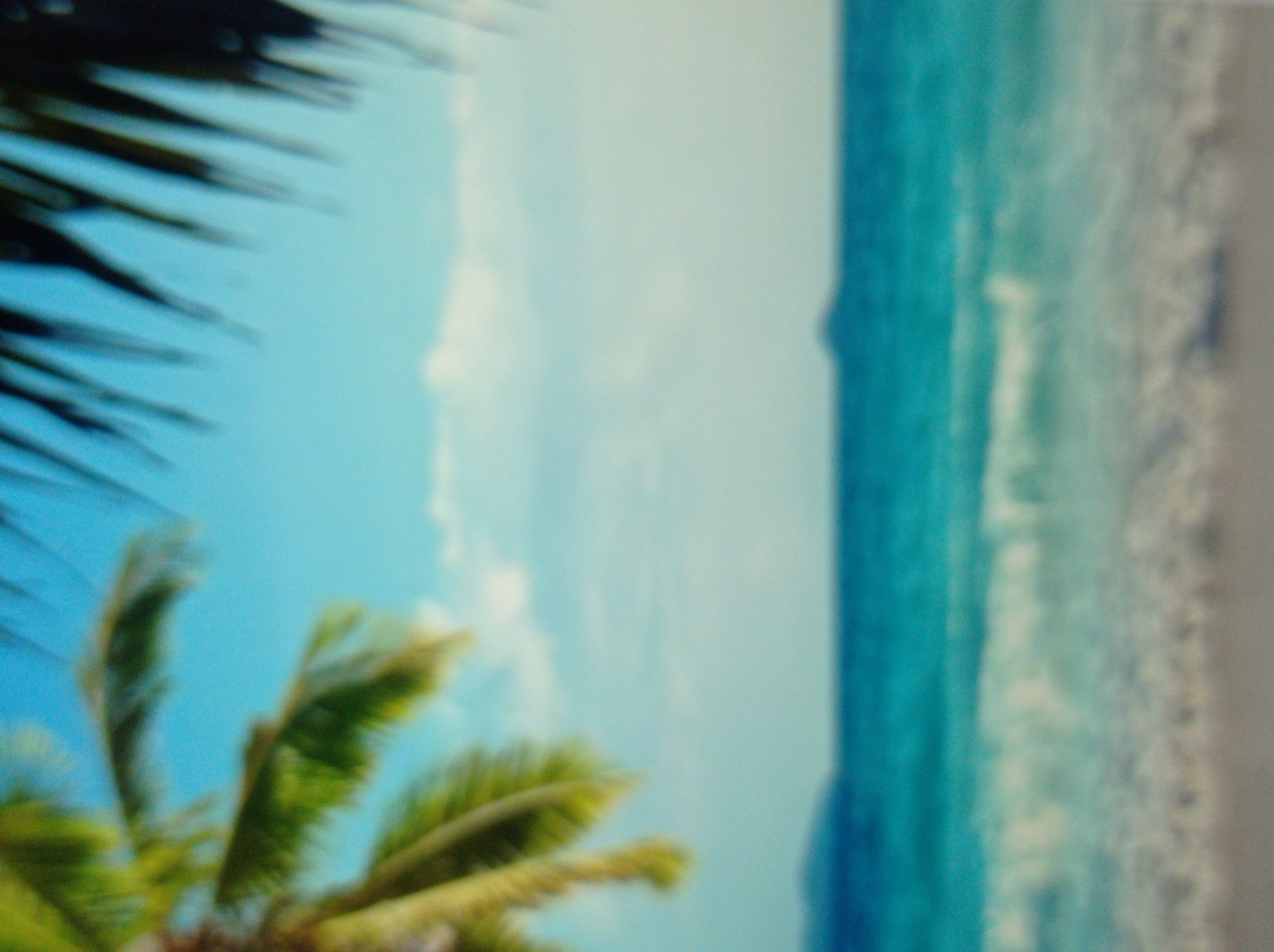 The image is a slightly blurred, out-of-focus photograph of a tropical beach scene. In the foreground, partially obscuring the upper left and right corners, are dark green palm fronds, suggesting the viewpoint is from under a palm tree. The mid-ground features the vibrant turquoise ocean with gentle waves breaking on a sandy shore. In the background, a faint, hazy silhouette of land or an island is visible on the horizon. The sky above is a clear, light blue with a few wispy white clouds. There are no people or specific objects that would place this scene in Mukachevo, Ukraine. The image depicts a generic tropical coastal environment.