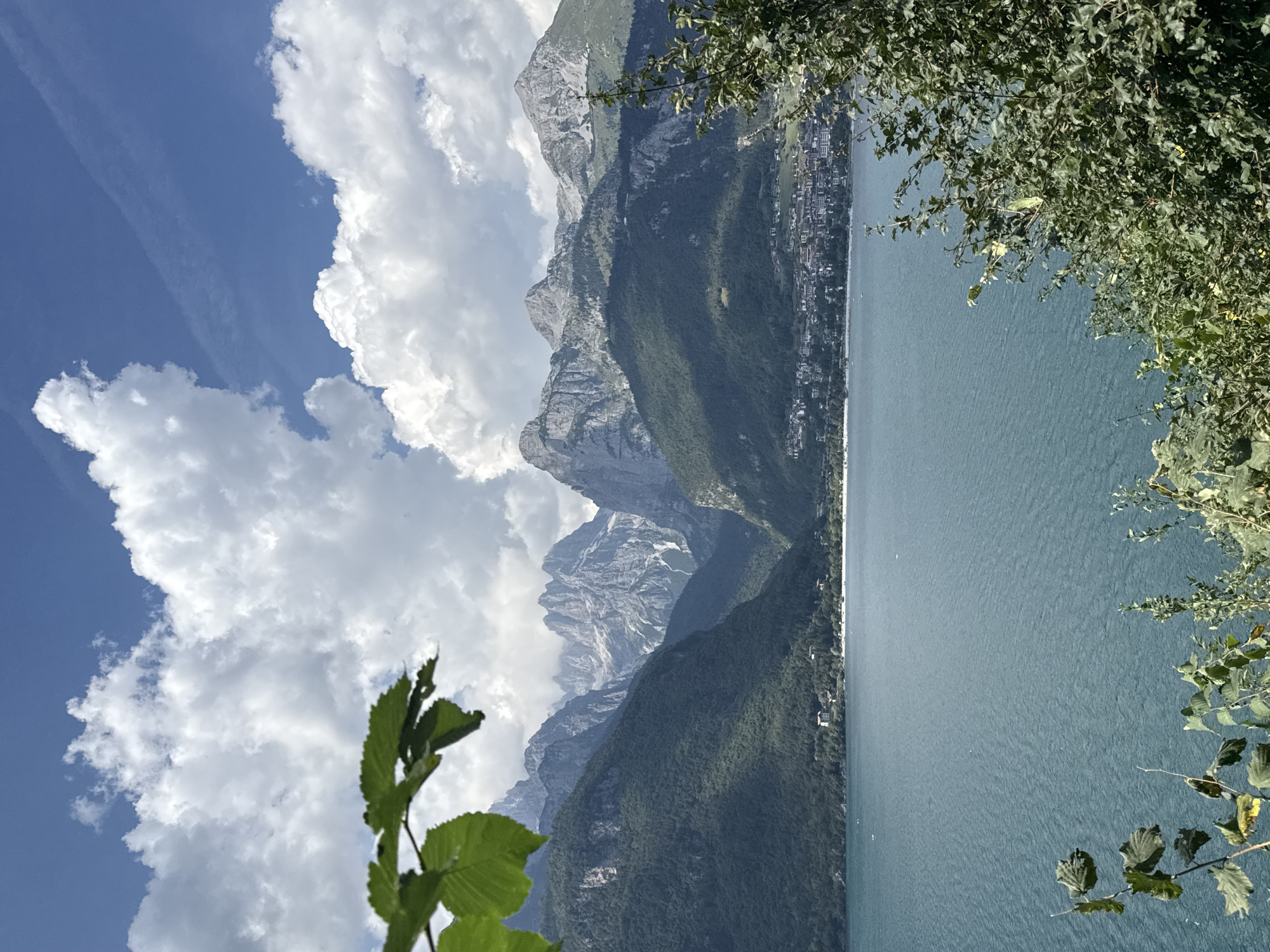 The image captures a scenic view of Lake Molveno, Italy, with lush green mountains and jagged peaks in the background. The lake's surface is a tranquil turquoise, reflecting the bright blue sky dotted with fluffy white clouds. In the foreground, the branches of green trees with broad leaves partially obscure the view. Along the shoreline, a town with buildings nestled amongst the trees can be seen. The overall impression is one of natural beauty and serene landscapes.