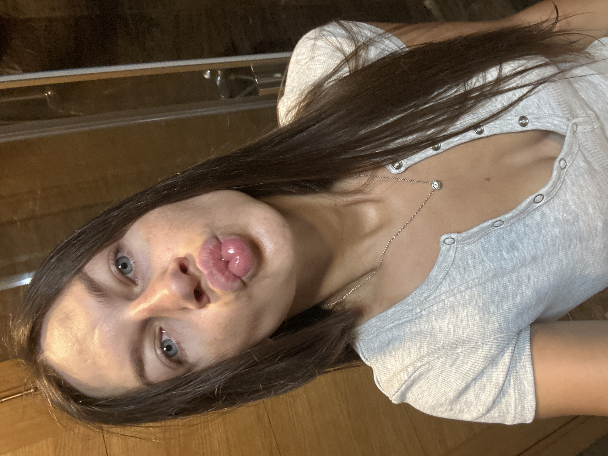 A young woman with long brown hair and blue eyes is taking a selfie. She is wearing a grey t-shirt with a button-down front and a silver necklace with a pendant. Her lips are pursed, and she is looking at the camera. The background appears to be a bathroom with wooden paneling and a glass shower door. The image is taken from the chest up. The location is stated as Donji Pobori, Montenegro.