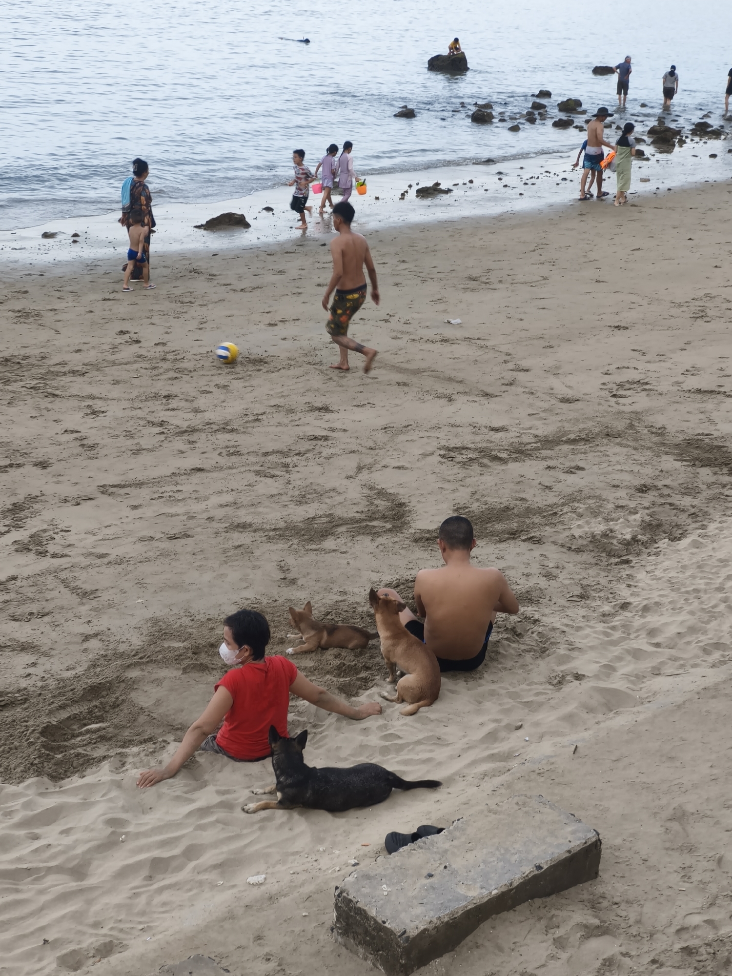 The image depicts a crowded beach in Nha Trang, Vietnam. In the foreground, a person in a red shirt and a face mask is sitting in the sand, with two dogs nearby. A shirtless man is also sitting in the sand further back. In the middle ground, a person in patterned shorts is walking across the sand, and a volleyball is visible. Several other people, including children and adults, are visible in the background, some walking along the shore and others wading in the water. The ocean is calm, and several rocks are scattered along the coastline. The sand is a light brown color, and there are footprints and ripples visible. The overall scene suggests a typical day at the beach with various activities taking place.