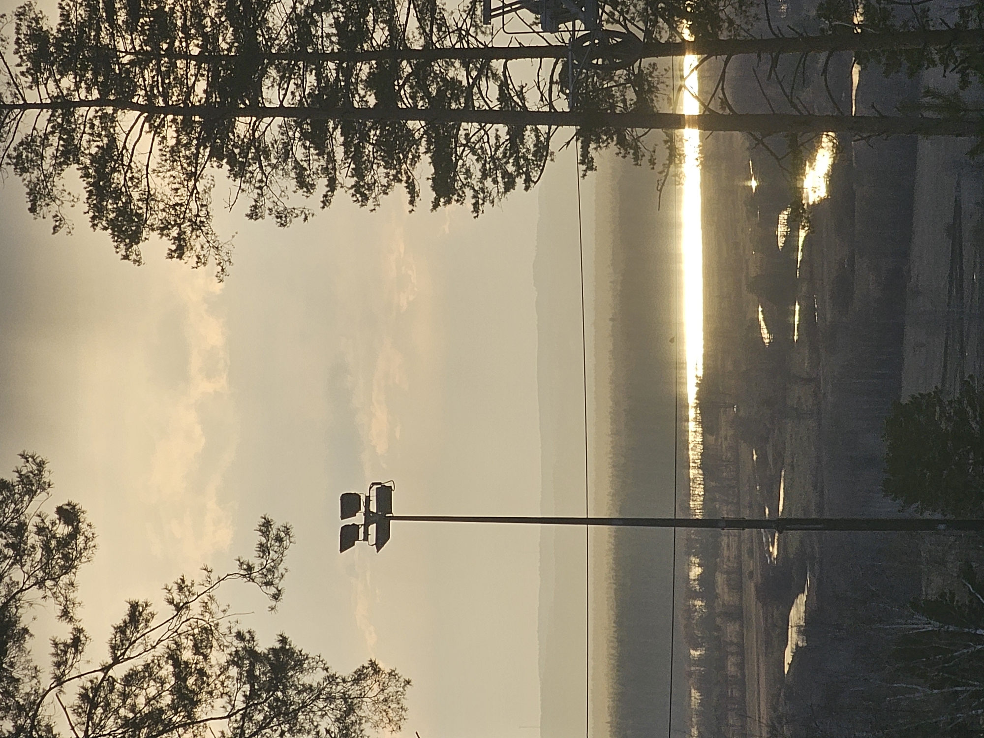 The image presents a serene landscape captured during either sunrise or sunset, characterized by soft, warm lighting and a tranquil atmosphere. The composition is oriented vertically, with key elements arrayed across the frame.
**Subjects:** Silhouetted trees with intricate branch patterns frame the scene from both the top and bottom edges. A prominent, tall light pole, dark against the bright sky, stands centrally, extending vertically through the mid-ground and featuring multiple lamp fixtures at its top. To the left of this central structure, the sky fills a significant portion of the frame, showing diffused, hazy clouds and a gradient of warm, muted tones. To the right, a body of water, possibly a river or a calm inlet, stretches into the distance. Faint outlines of distant hills or mountains are visible on the horizon, softened by atmospheric haze.
**Activity or event:** The primary visual activity is the intense reflection of the sun on the water's surface, creating a brilliant, vertical band of golden light that cuts through the darker water. This strong reflection is the focal point, illuminating parts of the water and creating smaller scattered reflections further along the water body. No human or animal activity is depicted.
**Notable details:** The time of day is clearly either early morning or late evening, evidenced by the low angle of the sun, which produces the striking reflection on the water and casts a warm glow across the sky. The weather appears hazy or slightly cloudy, contributing to the diffused light and atmospheric perspective that mutes distant features. The scene conveys a sense of peace and stillness. The presence of the light pole suggests an interface between a natural landscape and some form of infrastructure, though the overall impression remains one of natural beauty. There is no visible text in the image.