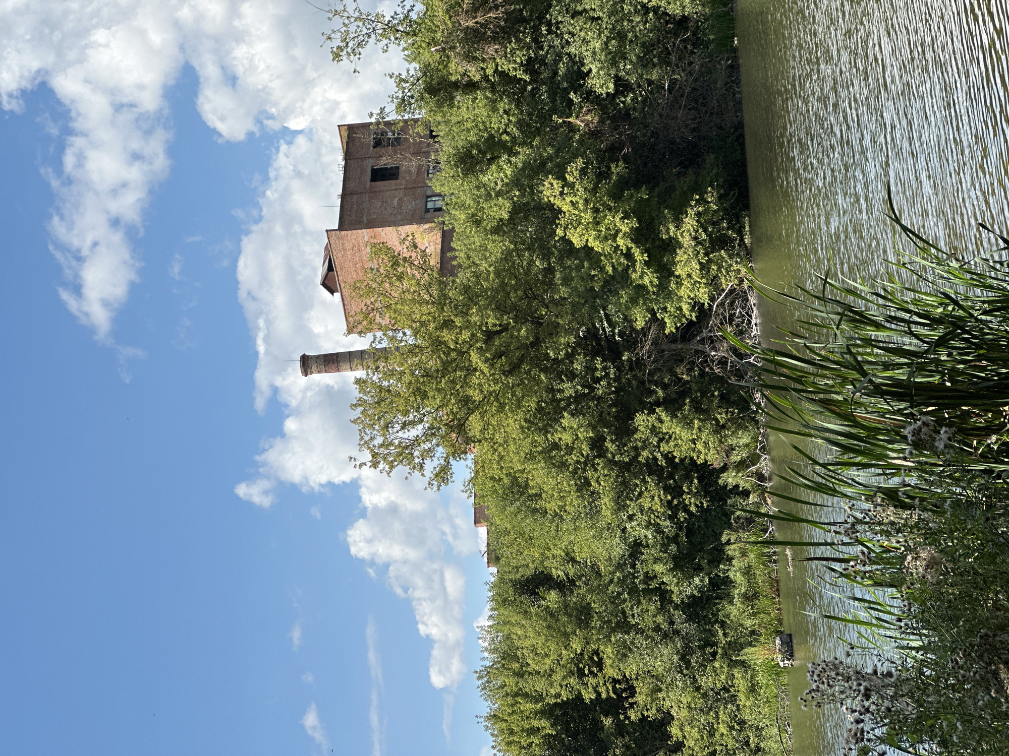 The image depicts an abandoned brick factory with a tall, red-brick chimney, situated on a hill amidst lush green trees. The factory building, also constructed of brick, appears derelict with dark, empty window openings. Below the hill, a calm body of water reflects the blue sky dotted with fluffy white clouds. Reeds and tall grass grow along the near edge of the water, with some dry seed heads visible. A small, rocky island with vegetation sits in the water to the left, and a few small birds or ducks can be seen in the water further in the distance. The overall scene conveys a sense of nature reclaiming an industrial site in the city of Shatava, Ukraine.