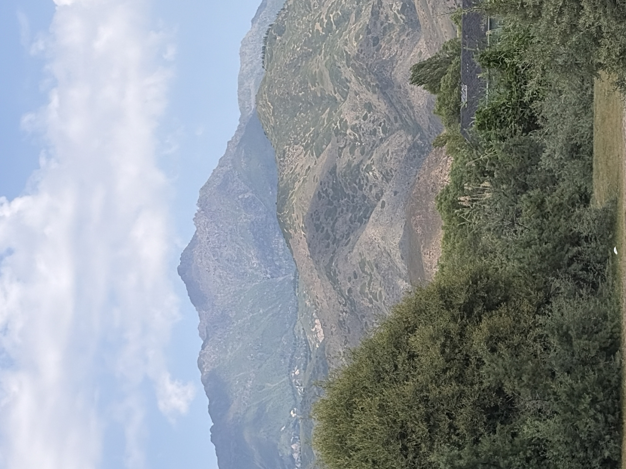 A vertical, medium shot captures a mountain range under a partly cloudy sky. In the foreground, dense green trees fill the bottom half of the frame, with a hint of a grassy area and a dark-roofed building peeking through the foliage on the right. The middle ground shows rolling hills covered in scrubby vegetation, their surfaces textured with lighter and darker patches. The background is dominated by a large, rugged mountain with a jagged peak. The sky above is a pale blue, with scattered white clouds. The image is clear and well-lit, suggesting daytime.