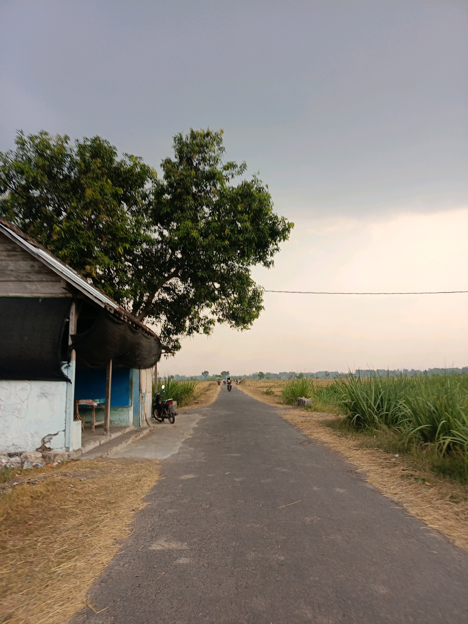 The image depicts a scene along a paved road in Kincang Wetan, Indonesia. On the left side of the road, there is a small, weathered wooden structure with a light blue painted section and a corrugated metal roof. A black motorcycle is parked near the structure, which appears to be a roadside stall or small dwelling. A large tree with dense green foliage is situated behind and to the left of the structure, casting a shadow. The road itself is asphalt and stretches into the distance, flanked on the right by tall green grass, likely sugarcane or similar vegetation. The background shows a flat landscape with a few distant trees and a hazy sky with overcast clouds. Several figures on motorcycles are visible in the distance on the road, suggesting ongoing traffic. The overall impression is one of a rural or semi-rural setting in Indonesia.