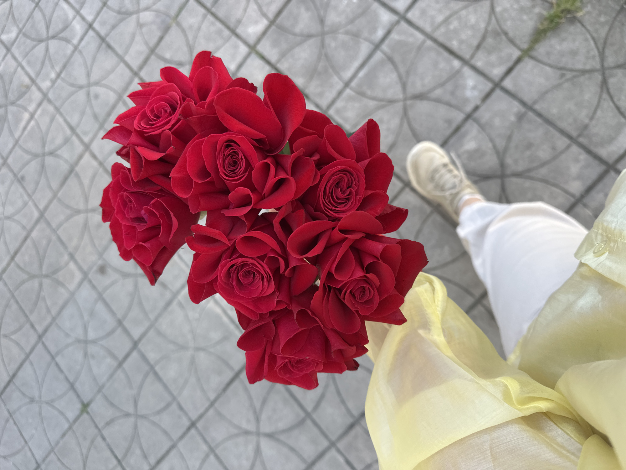 A top-down shot shows a bouquet of deep red roses, held by a person wearing white pants and a yellow blouse. The background is a grey tile pavement. A person's foot in a cream colored shoe is partially visible on the upper right of the image. The location is likely an urban area in Šušanj, Montenegro, judging by the presence of the pavement.