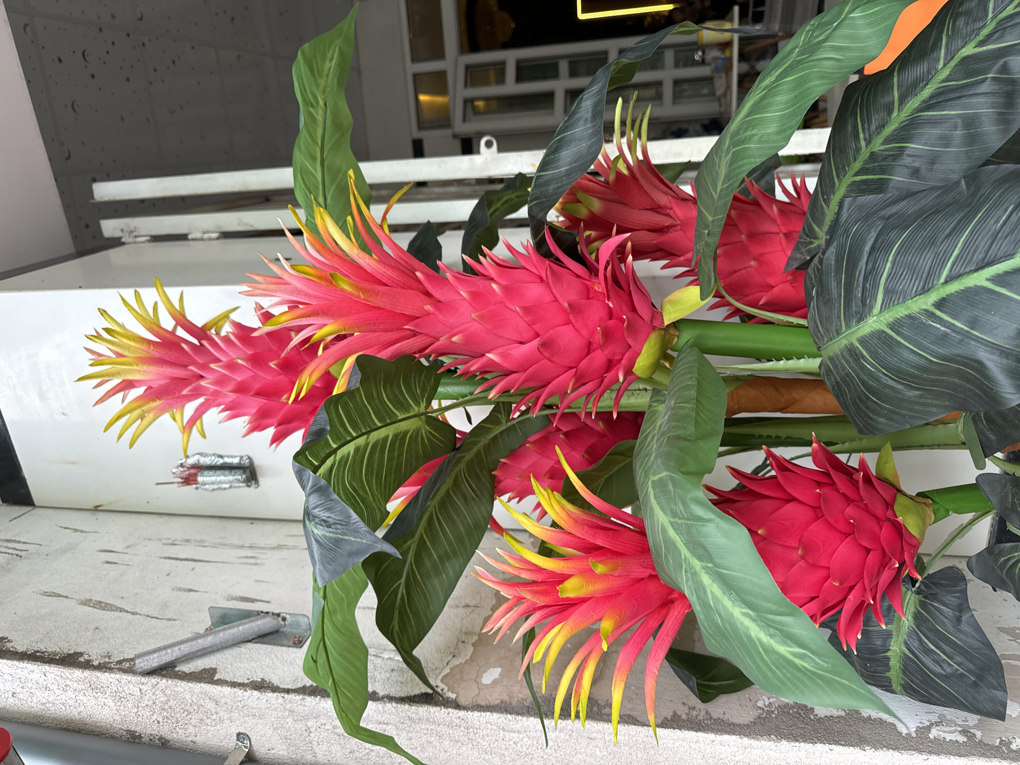 The image displays a vibrant arrangement of artificial tropical plants, appearing to be oriented vertically despite the photograph's horizontal composition. The main subjects are several large, striking floral structures, primarily bright red with pointed yellow tips, resembling bromeliads or tropical ginger flowers. These colorful blooms are arranged amidst numerous broad, dark green leaves, some exhibiting lighter green veining, reinforcing a tropical aesthetic.
The background features a multi-layered environment. Behind the plants, there is a light-colored, possibly white or off-white, textured surface that could be a wall or a display counter. Above this, a darker grey area with faint grid-like patterns is visible, suggesting a window or architectural element. The lower portion of the image reveals a weathered, lighter-colored surface, possibly concrete or painted brick, with a few metallic fixtures or supports.
There are no people or discernible activities taking place; the scene is purely decorative. The bright and clear lighting indicates that it is daytime. The artificial nature of the plants suggests a permanent, static display. No visible text can be clearly identified on any signs or objects within the frame. The tropical theme of the plants aligns well with the provided location context of Phan Thiết, Vietnam.