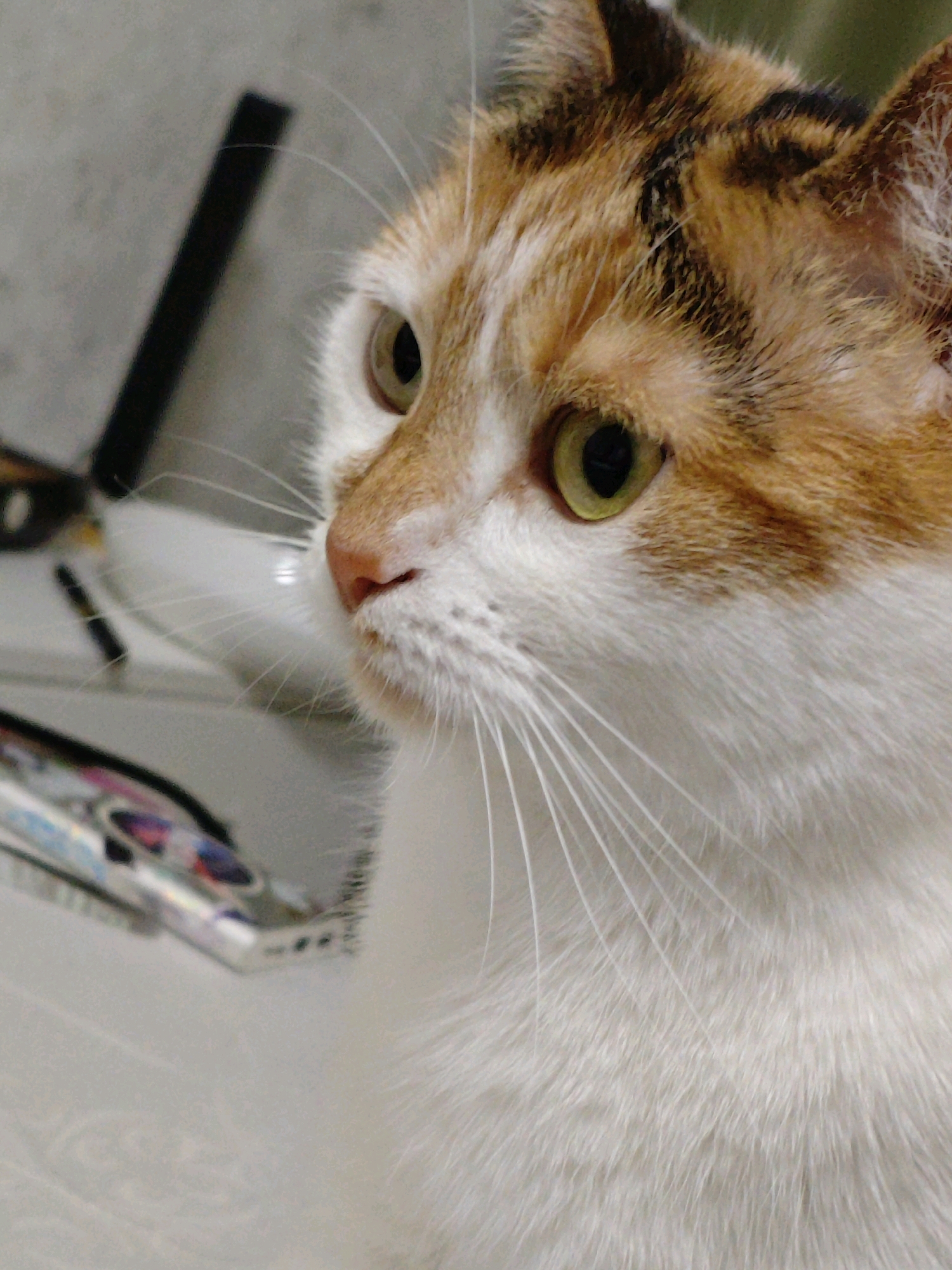 A close-up, side-profile shot shows the face of a calico cat. The cat has white fur on its chest and muzzle, with orange and black markings on its head and ears. Its green eyes are visible, as is its pink nose and long white whiskers. In the background, a blurry black object, possibly a stick or stand, is visible to the left of the cat. Further to the left, a blurry, colorful object, resembling a phone or electronic device, is also visible. The background appears to be a neutral-colored wall. The image is taken from an upward angle.