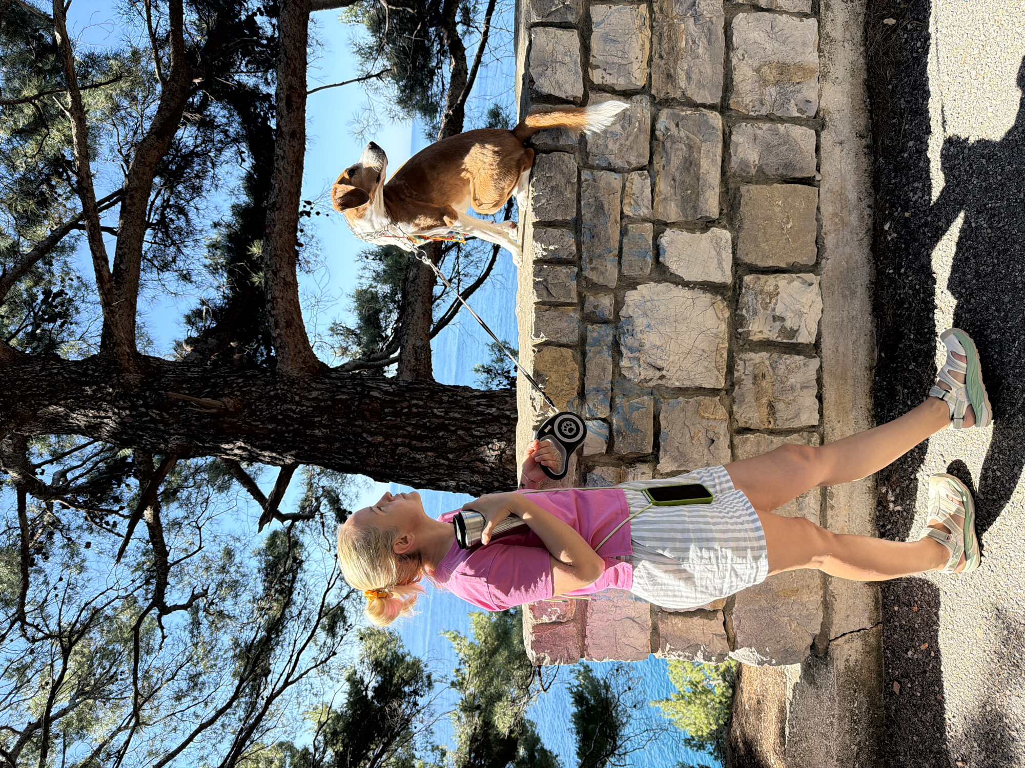 A vertically oriented, high-angle shot shows a fair-skinned person and a dog alongside a stone wall. The person, a woman with fair hair styled in a ponytail, wears a pink t-shirt and vertically striped shorts. She holds a metal thermos in one hand and a retractable dog leash in the other. A smartphone is visible in her short's pocket. She faces left, looking up at a tree and the dog. The dog, brown and white, stands atop the stone wall and is tethered to the leash in the woman's hand. The wall is made of light-colored, roughly rectangular stones. A tree with bare branches is visible, with the blue water of the Adriatic Sea visible between the branches. Part of a road with a shadow cast on it is visible to the left of the woman. The setting is outdoors in daylight. The location is Petrovac centar, Montenegro.