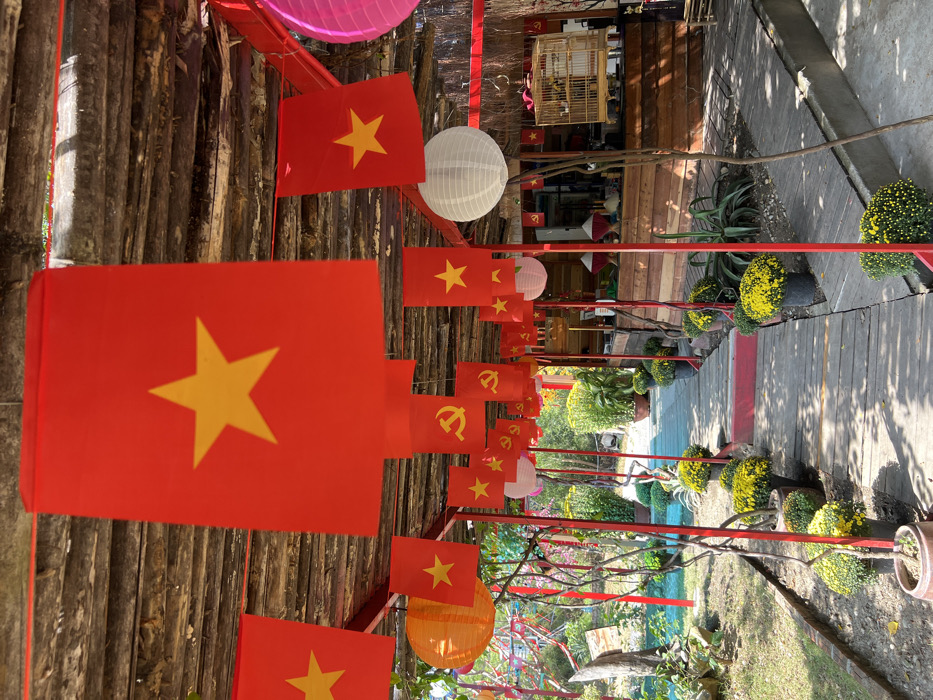 A festive outdoor setting is adorned with strings of Vietnamese flags, lanterns, and red supports. Yellow and green potted plants line a walkway that transitions from wood to concrete. A birdcage is visible in the background, along with wooden structures. One flag bears the hammer and sickle symbol. The overall impression is one of celebration and cultural pride.