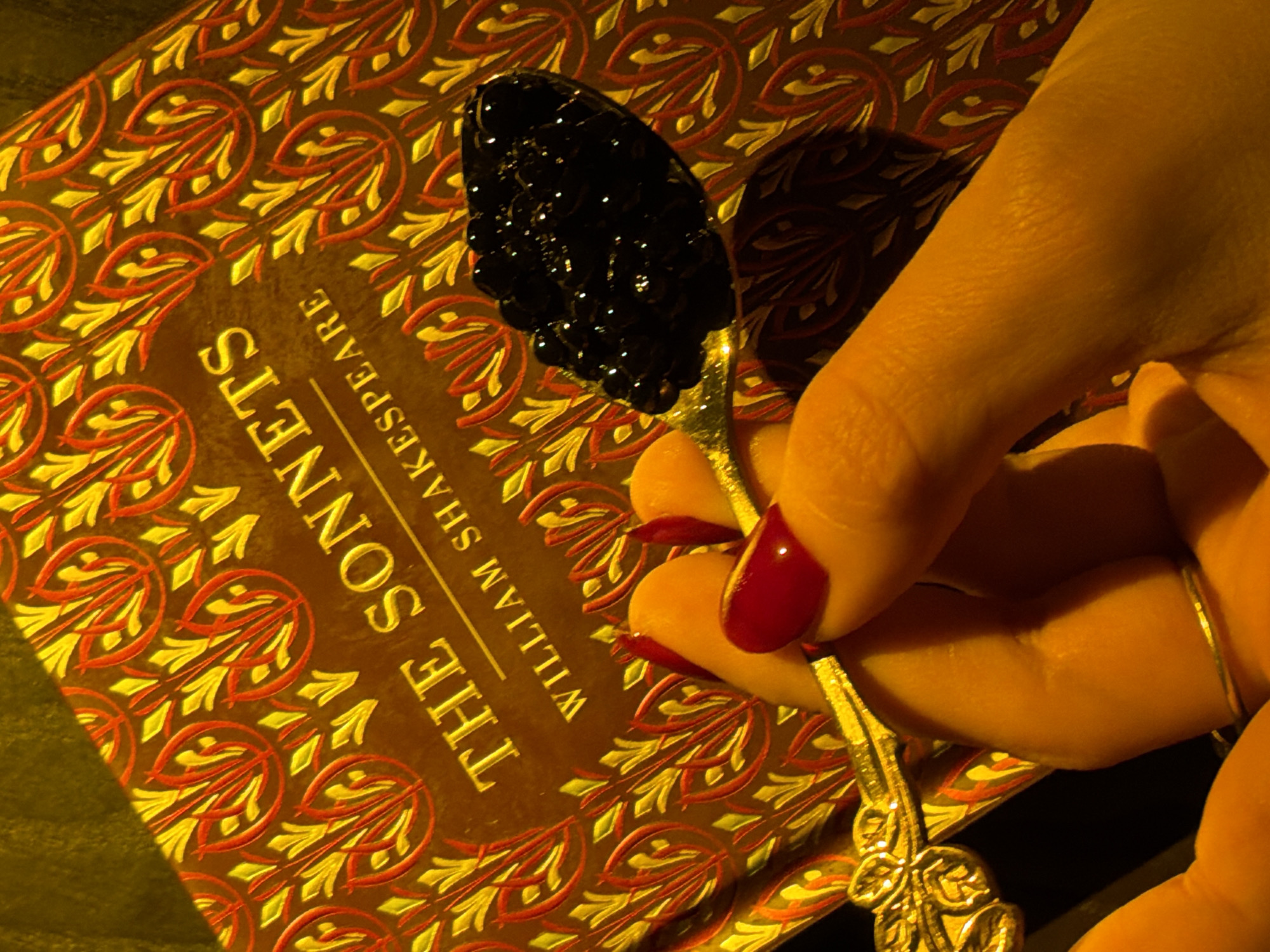 A close-up shot captures a human hand holding a decorative spoon filled with dark, glistening caviar over a book. The hand, likely female, is manicured with glossy red nail polish on the fingernails. A thin, silver-colored ring is visible on the pinky finger. The spoon features an ornate handle with intricate designs, appearing to be made of a silver or gold-toned metal. The bowl of the spoon holds a generous amount of small, black, shiny spherical beads, characteristic of caviar, reflecting the ambient light.
The book beneath the spoon is titled "THE SONNETS" by "WILLIAM SHAKESPEARE," printed in a golden-yellow font. Its cover is a rich brown, adorned with a repeating pattern of stylized floral or vine motifs in red and yellow. The lighting in the scene is warm and dim, casting deep shadows from the hand and spoon onto the book cover, suggesting an intimate, evening, or night-time setting. There are no specific cues within the image to suggest a particular geographical location or weather conditions. The overall impression is one of luxury, literature, and indulgence.