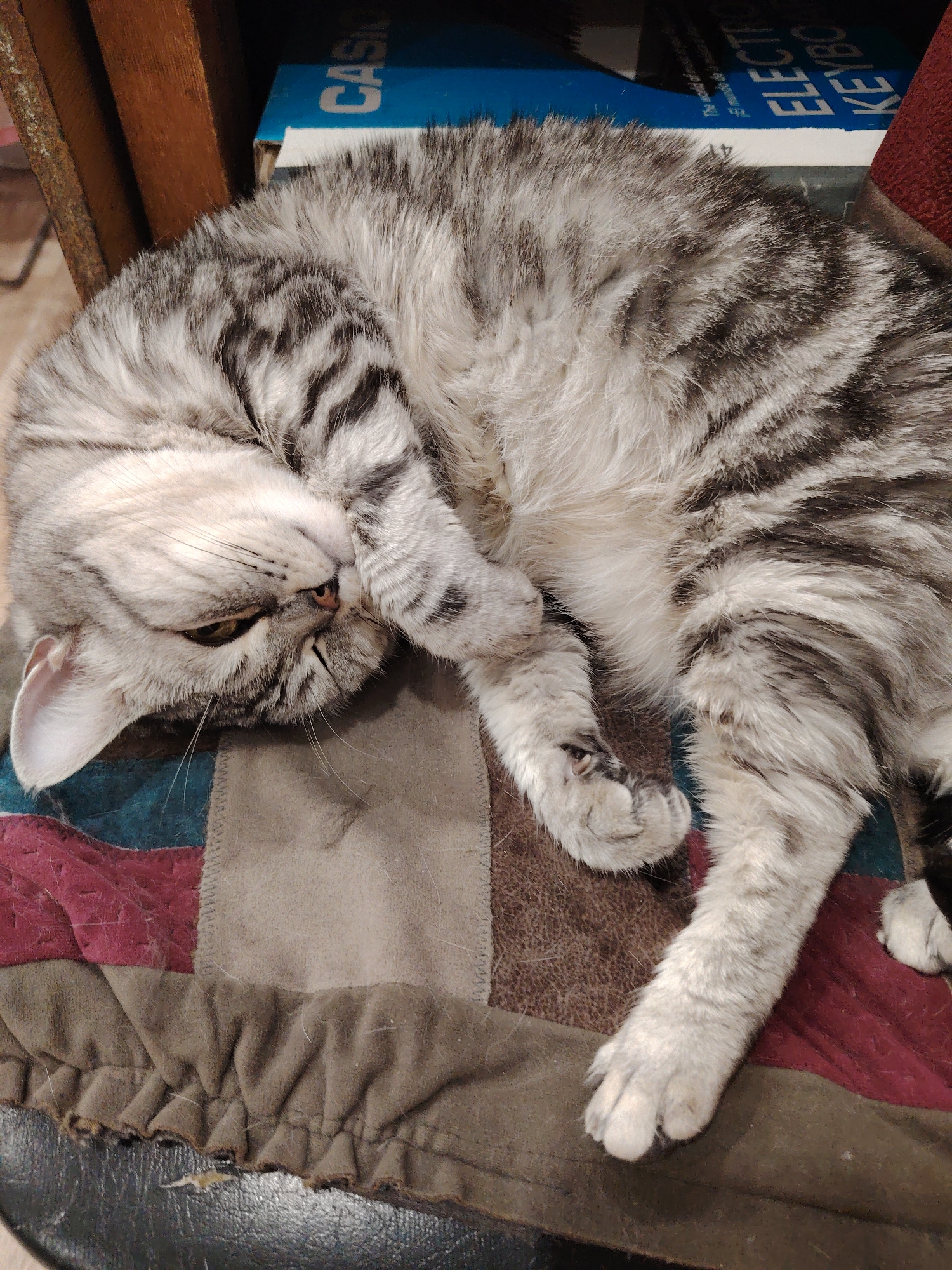 A gray tabby cat is curled up and sleeping on a colorful patchwork cushion, likely placed on a chair or small surface. The cat has its paws tucked under its head and body, with its tail partially visible. Behind the cat are stacked boxes, one of which appears to be a Casio electronic keyboard box. The environment suggests an indoor setting, possibly a home.
