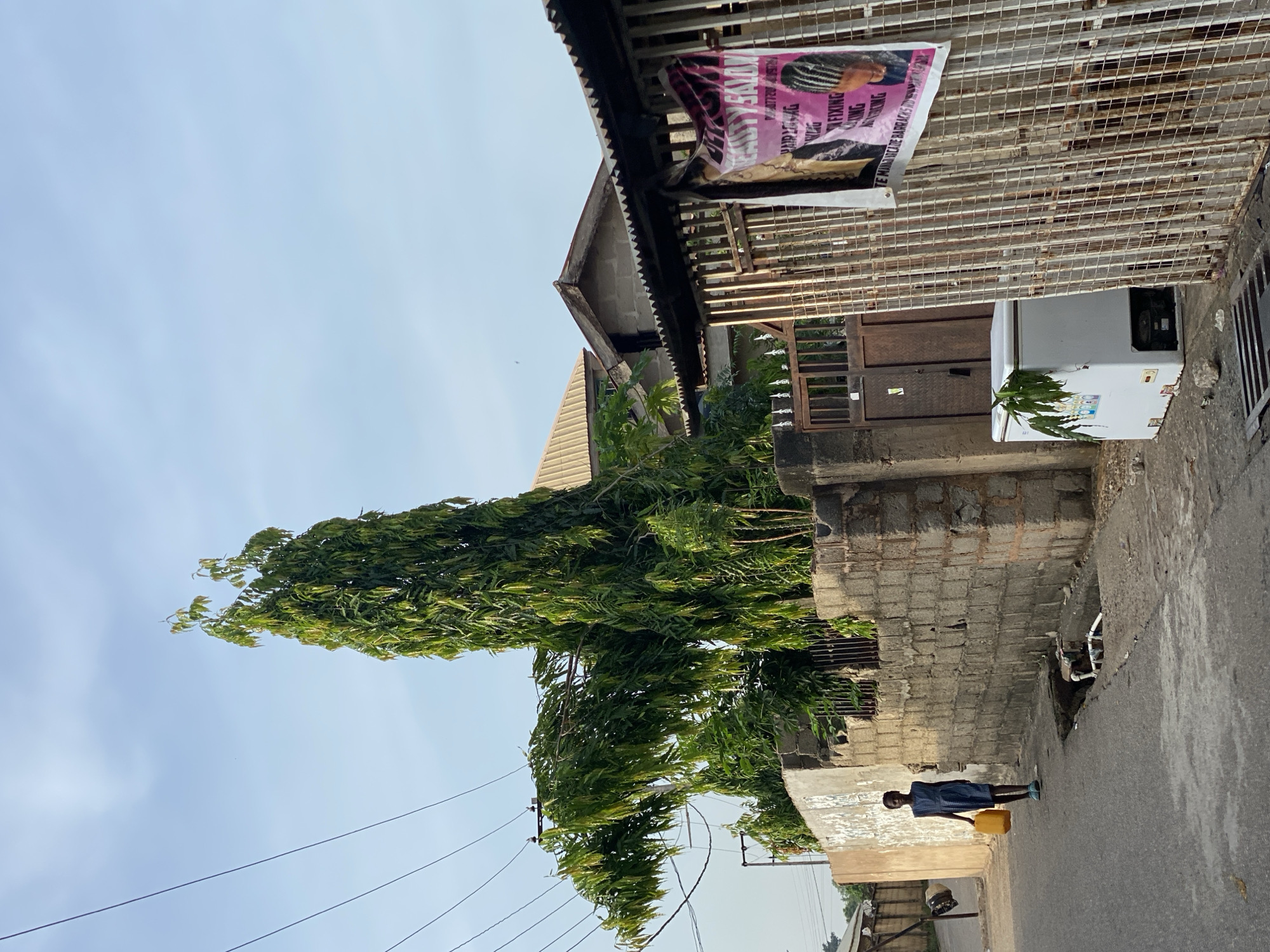 The image captures a daytime street scene in Adankolo, Nigeria, under a bright, clear sky. A young person, possibly a child or teenager, dressed in a blue garment, walks on a paved road toward the left side of the frame. They are carrying a yellow jerrycan or water container in their right hand, suggesting the activity of fetching water.
On the left side of the street, a very tall, slender tree with dense green foliage dominates the mid-ground. Behind the tree and further down the street, buildings with corrugated metal roofs are visible, typical of local architecture. On the right side of the street, a low concrete block wall separates the road from a building. An old, white chest freezer sits outdoors next to this building. A brown metal gate is also part of the structure on the right.
Affixed to a slatted metal structure above the freezer and gate is a prominent pink poster or flyer. Visible text on the poster advertises services such as "HAIR STYLING," "WEAVES," "FIXING," "MANICURE PEDICURE BARBERING." Overhead, several power lines crisscross against the pale blue sky. The road shows some wear, with a section featuring exposed pipes or a drain opening near the right-hand wall. The overall impression is a routine day in a residential area.