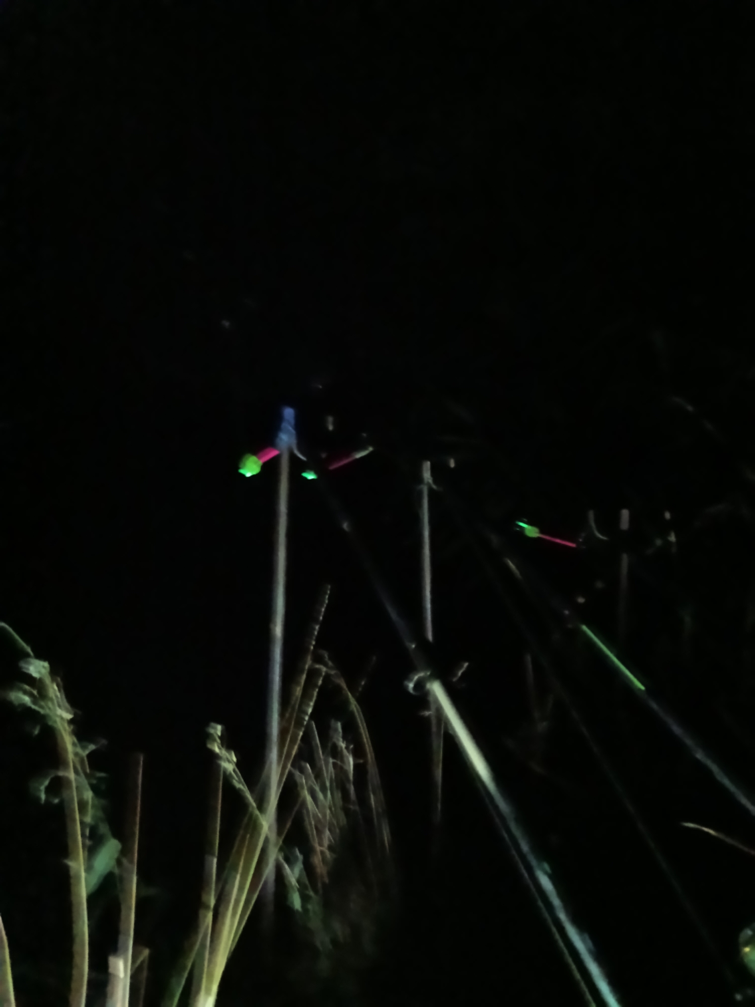 The image shows a dark, outdoor scene at night, likely in the village of Sanzharykha, Ukraine, given the context provided. Several fishing rods are set up, with illuminated bite indicators (often called "bobbers" or "swinger tips") attached to their ends. These indicators are glowing in bright green and pink, suggesting they are chemically or electrically lit for night fishing. The background is almost entirely black, with some faint, out-of-focus shapes that might be vegetation or other natural elements. The fishing rods are resting on what appear to be rod rests or bank sticks, which are partially visible. The overall impression is of a quiet night fishing session.
