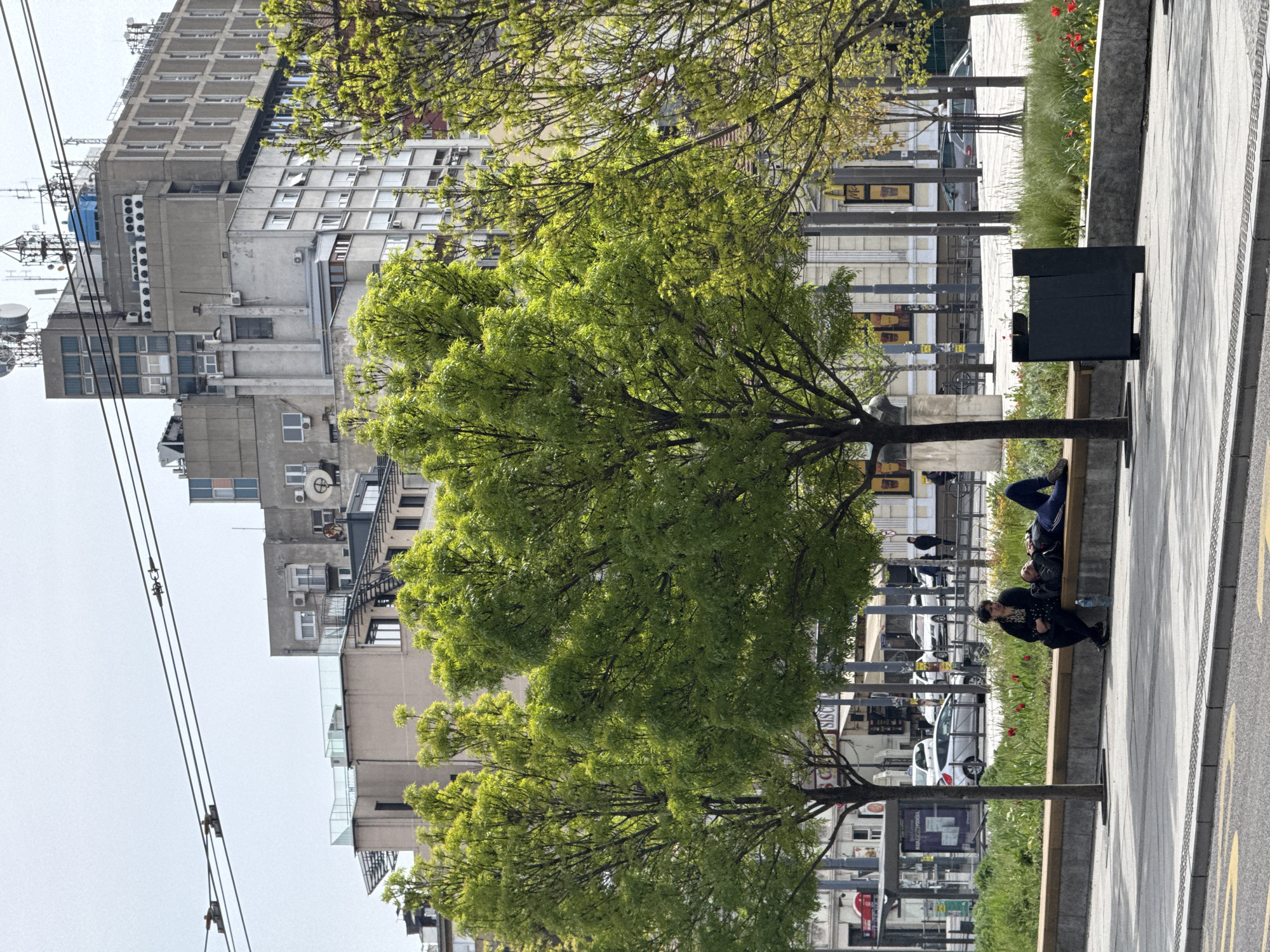 The image shows a street scene in Belgrade, Serbia. The scene is dominated by a sidewalk bordered by an urban street. Two people are sitting on a bench on the sidewalk, and a third person is lying on the bench. There are trees along the sidewalk. Behind the sidewalk, across the street, are buildings and shops. There is a line of cars parked on the other side of the street. The buildings are tall and appear to be residential and commercial. Power lines stretch across the top left of the image, running past the buildings.