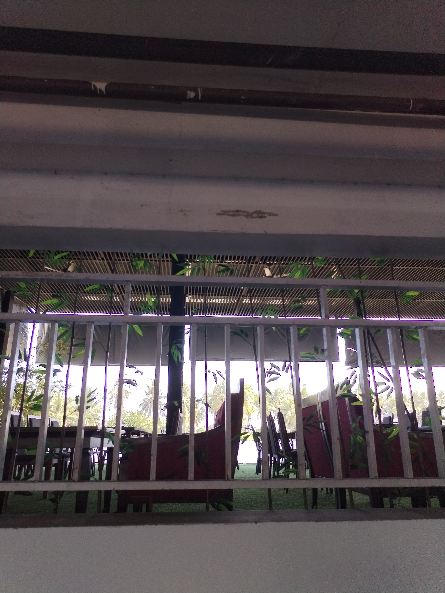 The image depicts an outdoor dining area, likely a restaurant or cafe, located in Bac Nha Trang Ward, Vietnam. In the foreground, a metal railing obstructs the view, adorned with artificial bamboo foliage. Behind the railing, several tables with chairs are arranged. Some of the chairs are upholstered in a deep red fabric. The tables appear to be made of dark wood.
The background reveals a blurred scene of palm trees and other tropical vegetation, suggesting a warm climate. The overall lighting indicates it is daytime, possibly late afternoon or early morning, given the soft, diffused light. The architectural elements visible suggest a covered area, perhaps a veranda or an open-air pavilion, with a slatted ceiling and a concrete structure above. No people are visible in the scene. The ambiance is one of a relaxed, tropical setting.