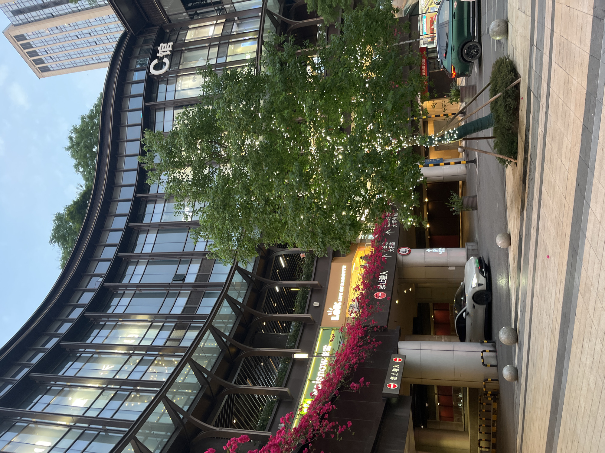 The image shows a commercial building in the Yuzhong District of China, recognizable by its curved glass facade and rooftop greenery. Signage indicates "C馆" and several business names. A parking entrance is visible with "禁止驶入" signs and directional information in Chinese. Bougainvillea flowers adorn the building's exterior. Cars are parked nearby, and street elements like bollards and tiled pathways are present. The scene is taken at dusk or dawn, with diffused light.